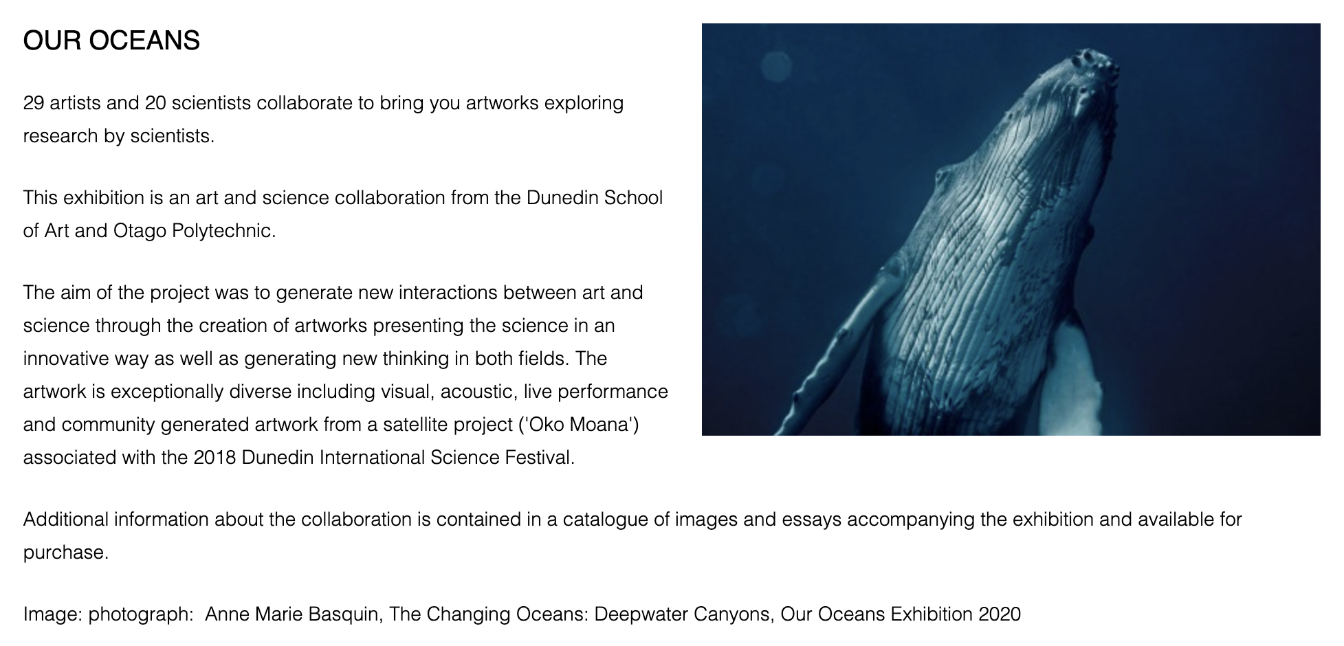 2020 Our Oceans Oamaru Exhibition Media Release.png