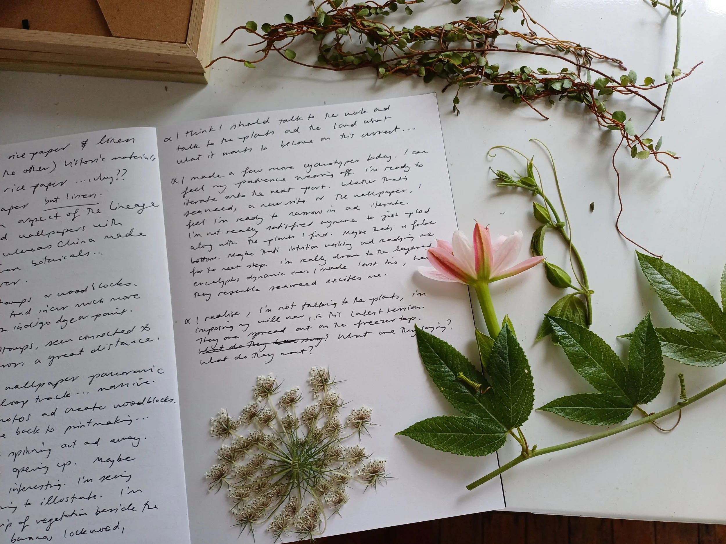 Plant-speak