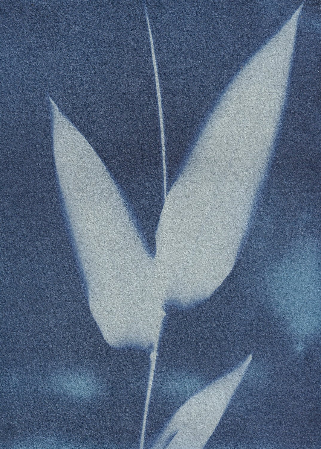 dynamic_bamboo_web.jpg