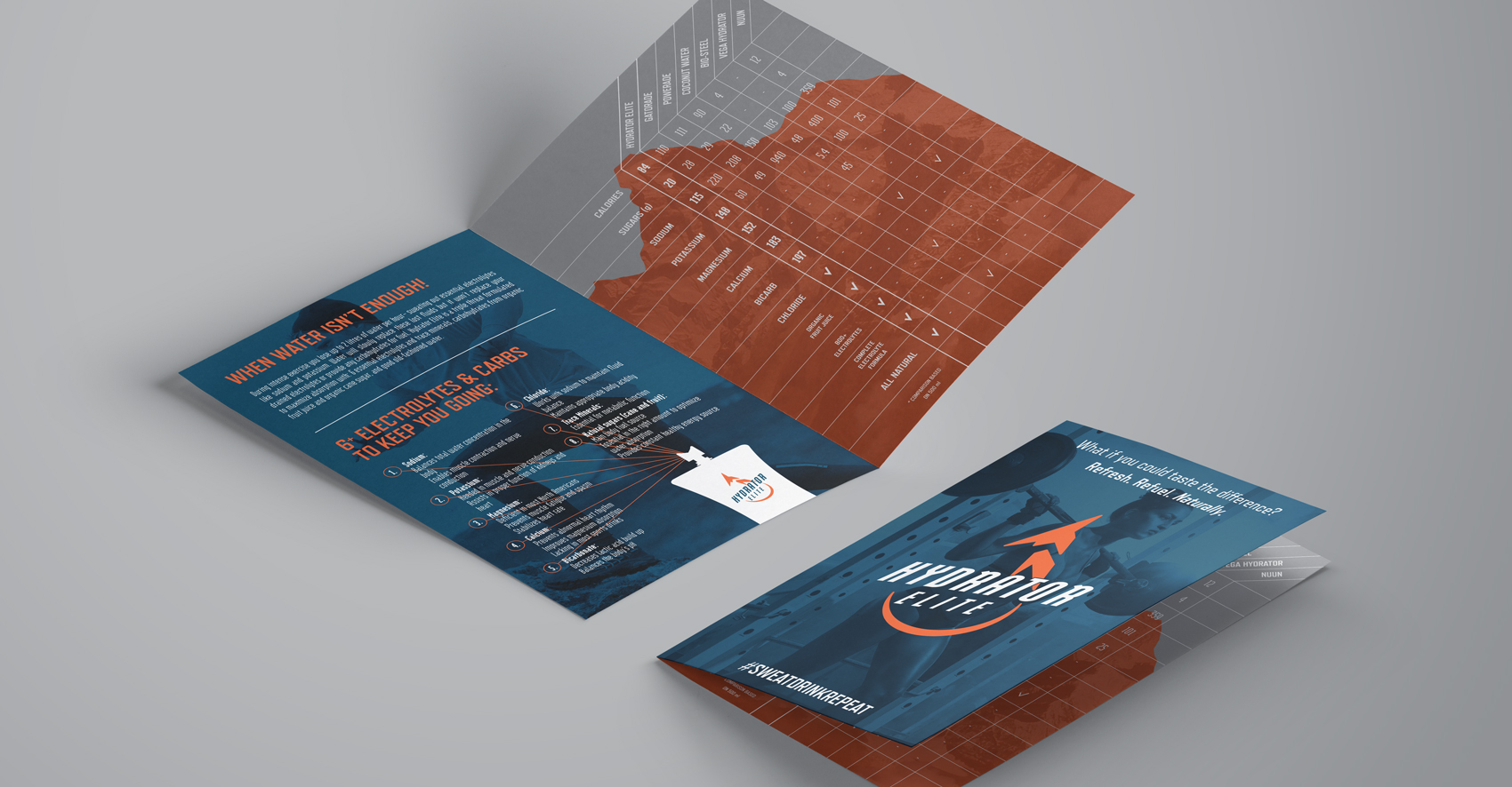 himalayan_brochure_mockup_2.jpg