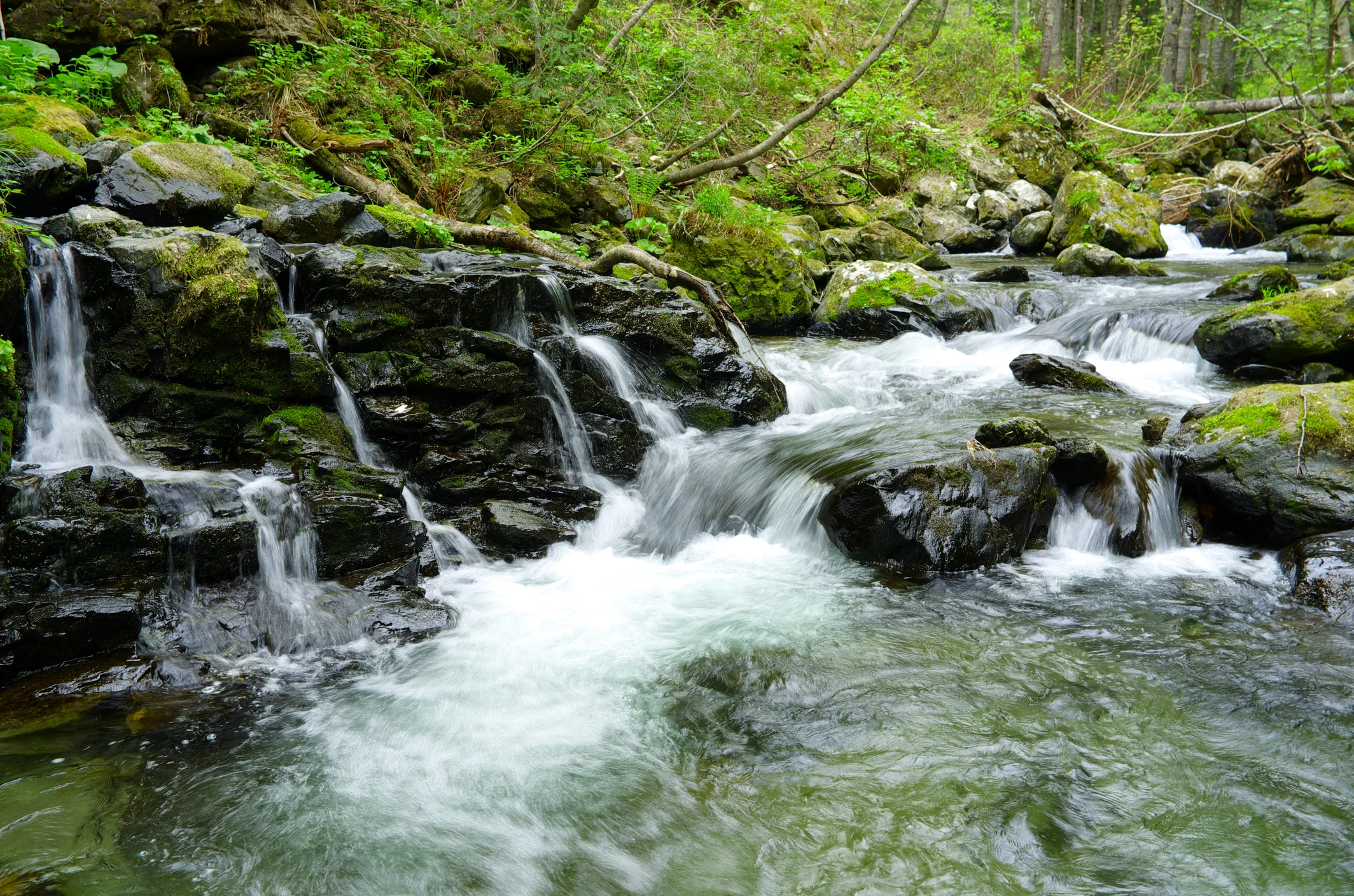 iStock-158999569.jpg