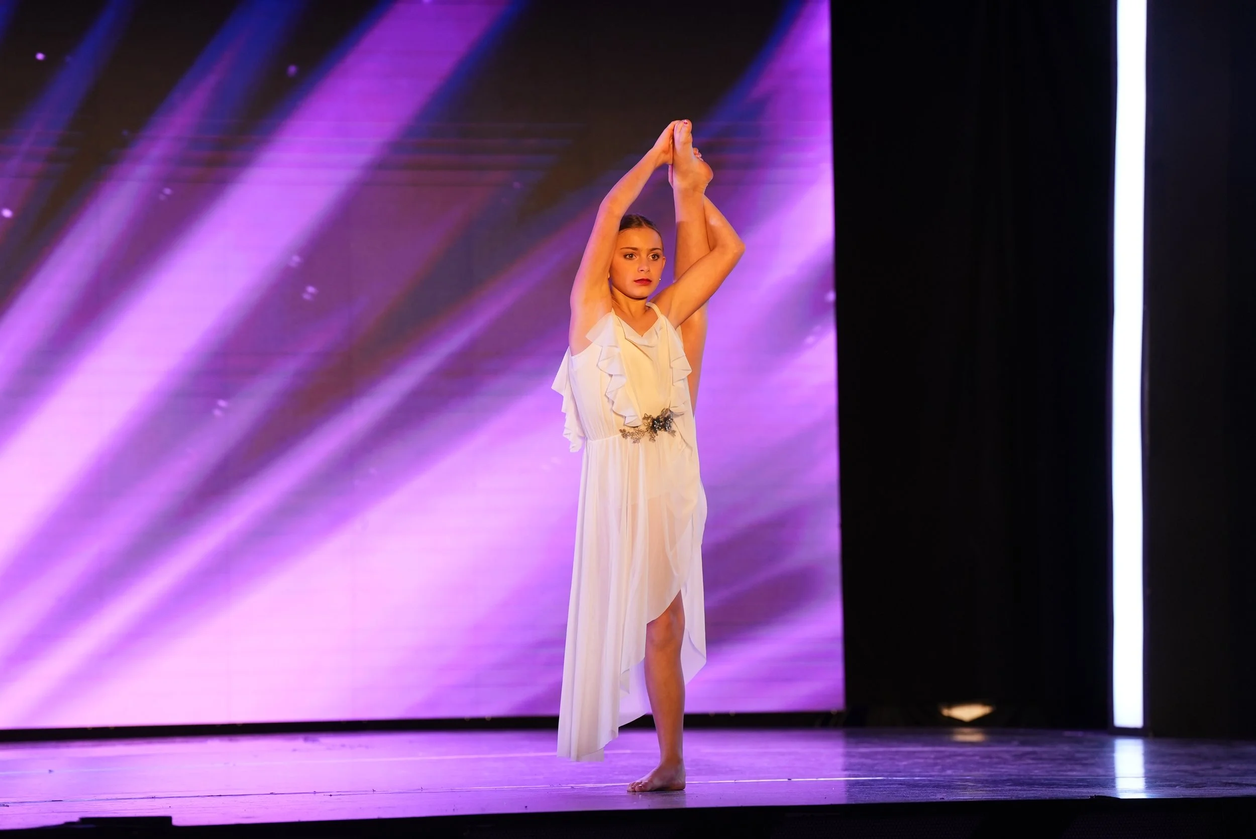 Free As A Bird 2.jpg