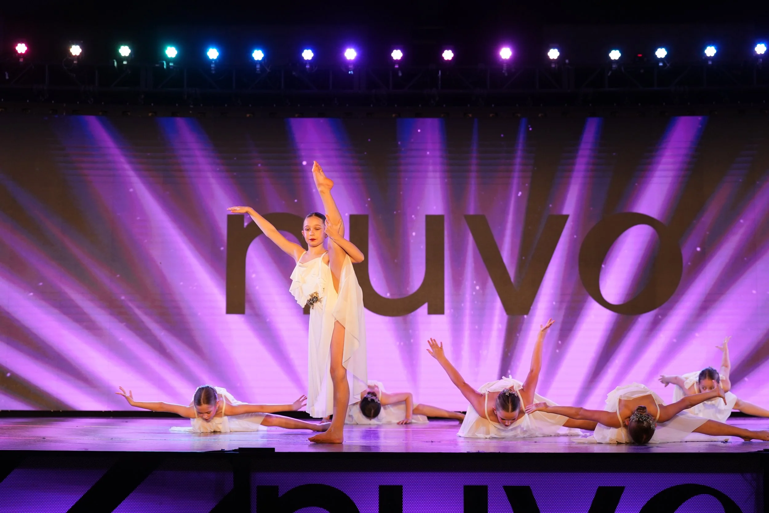 Free As A Bird 3.jpg