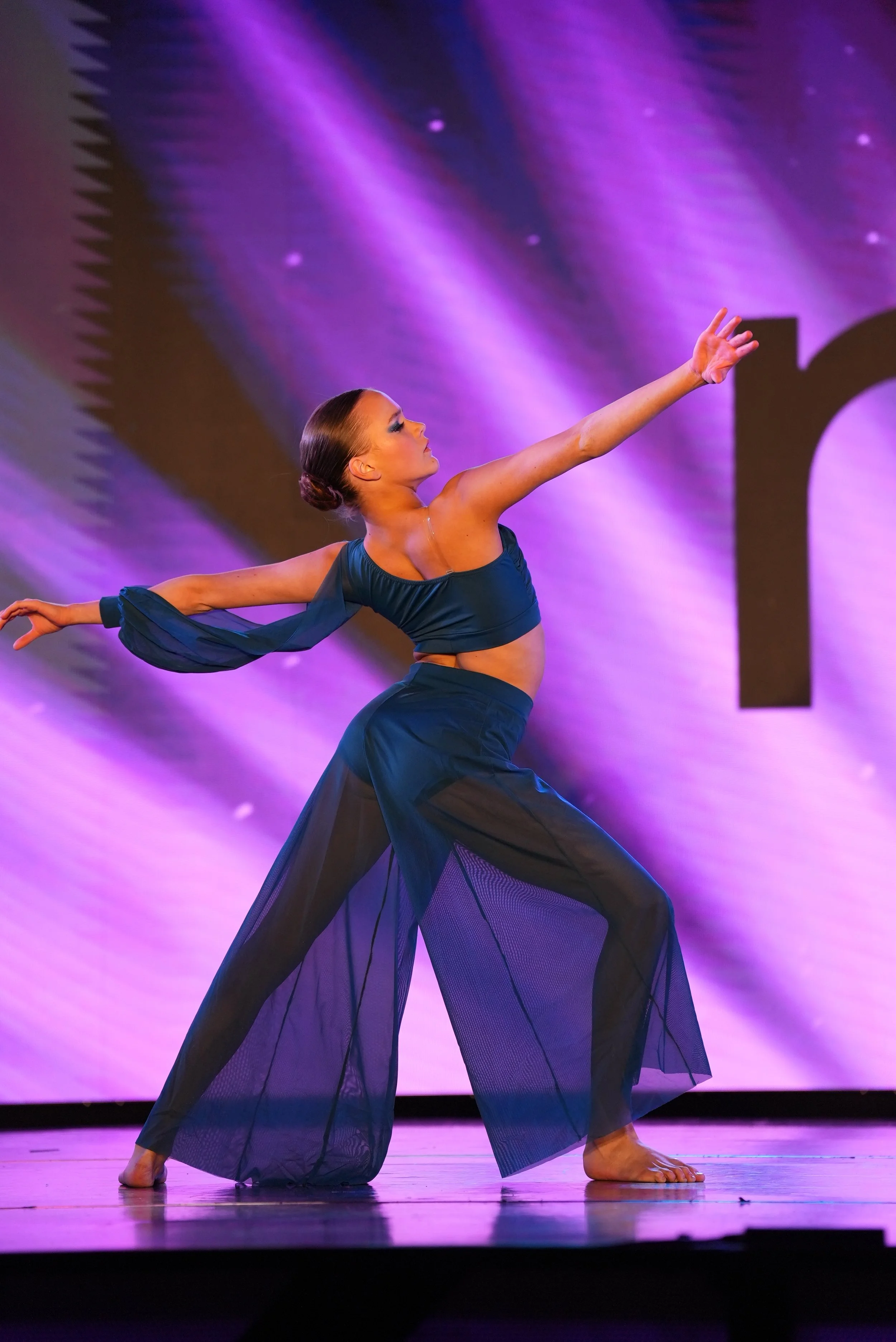 Where Flamingos Fly- Aubrey McDuffie.jpg