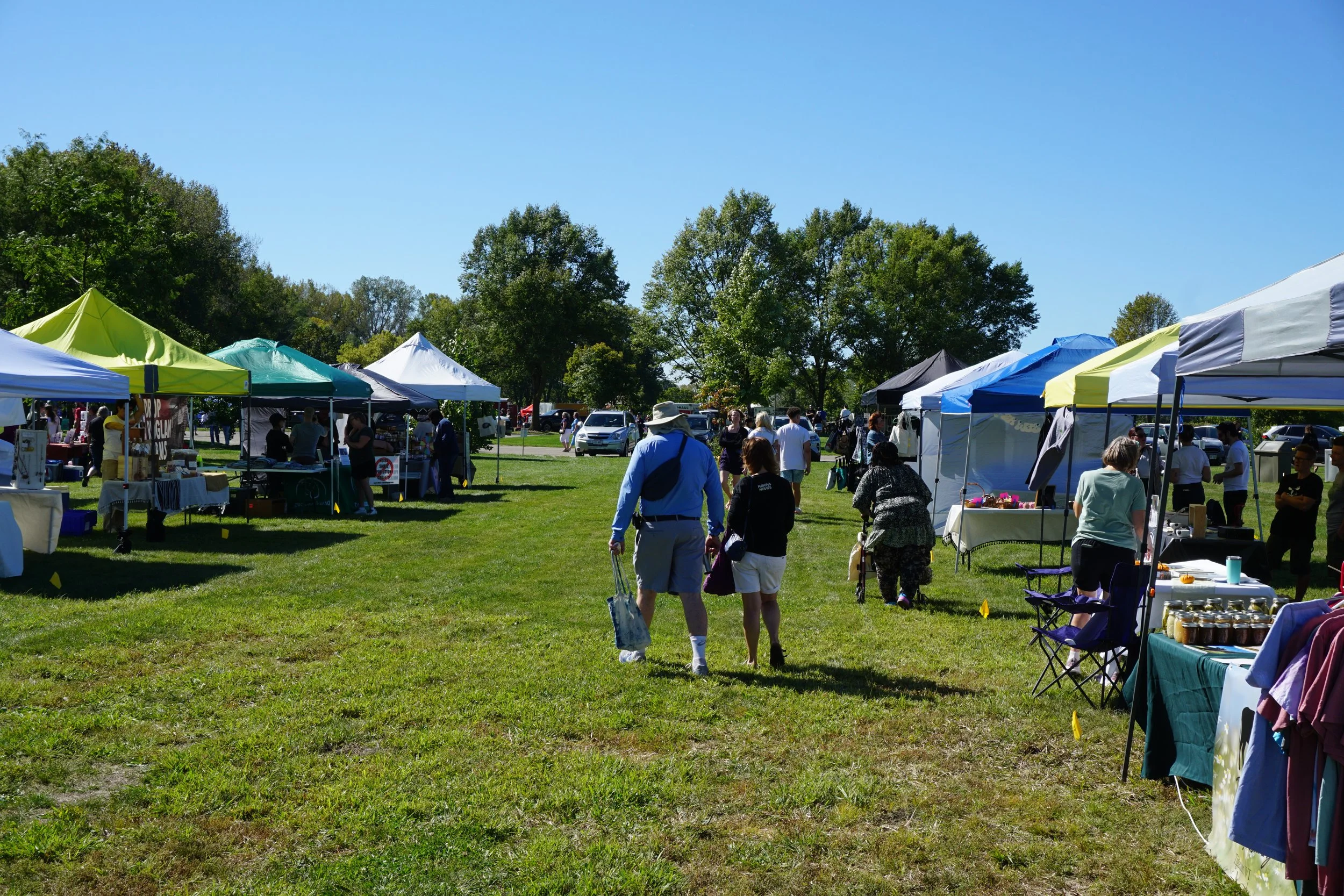 A wide, outdoor shot of Madison Vegan Fest taking place on a sunny day in a park setting. Rows of canopy tents are set up on either side of a wide grassy aisle.