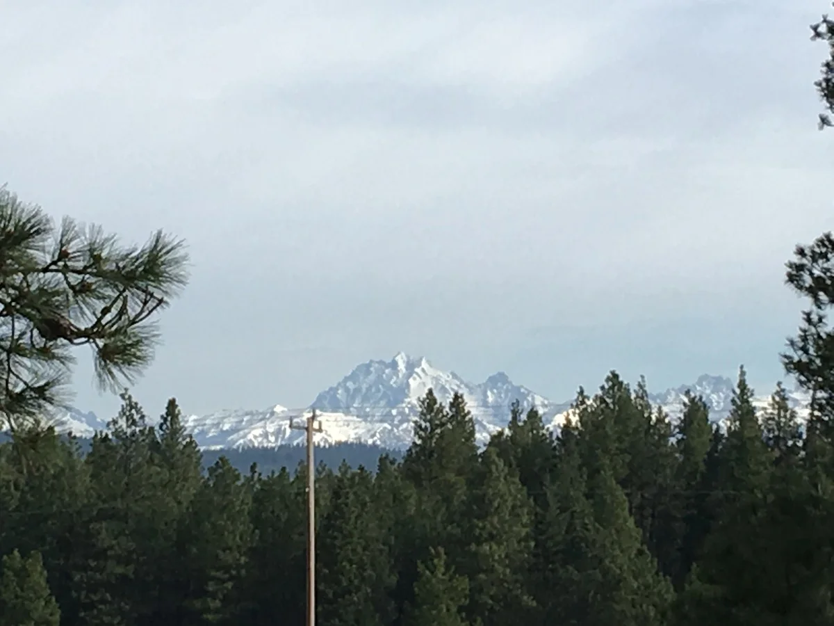 2017-05-10 08.33.23.jpg