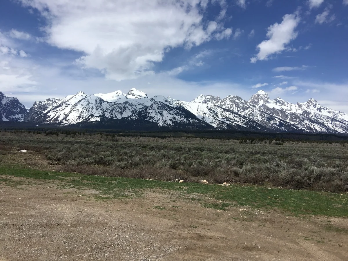 2017-05-08 13.26.58.jpg