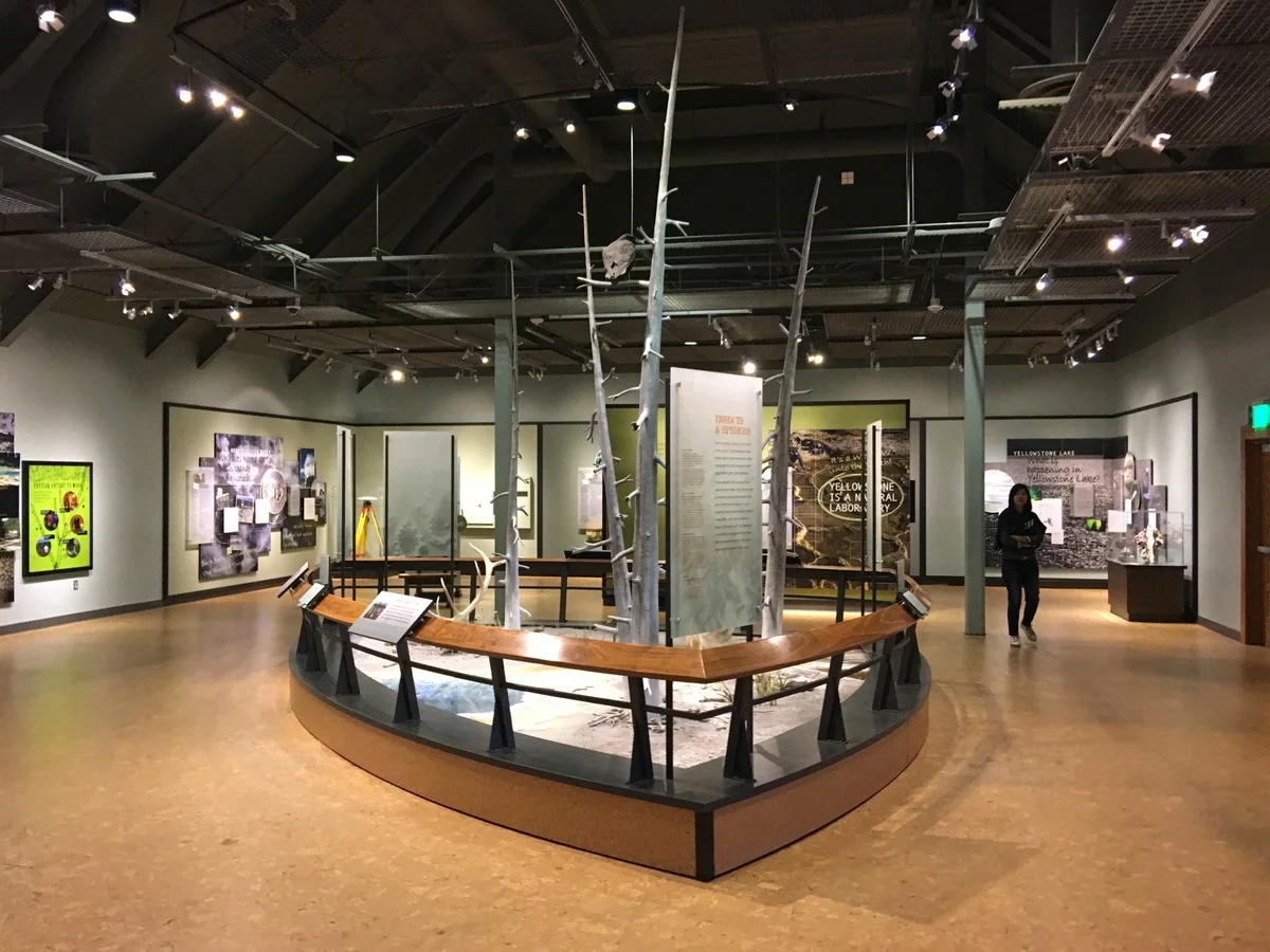 2017-05-08 17.50.04.jpg