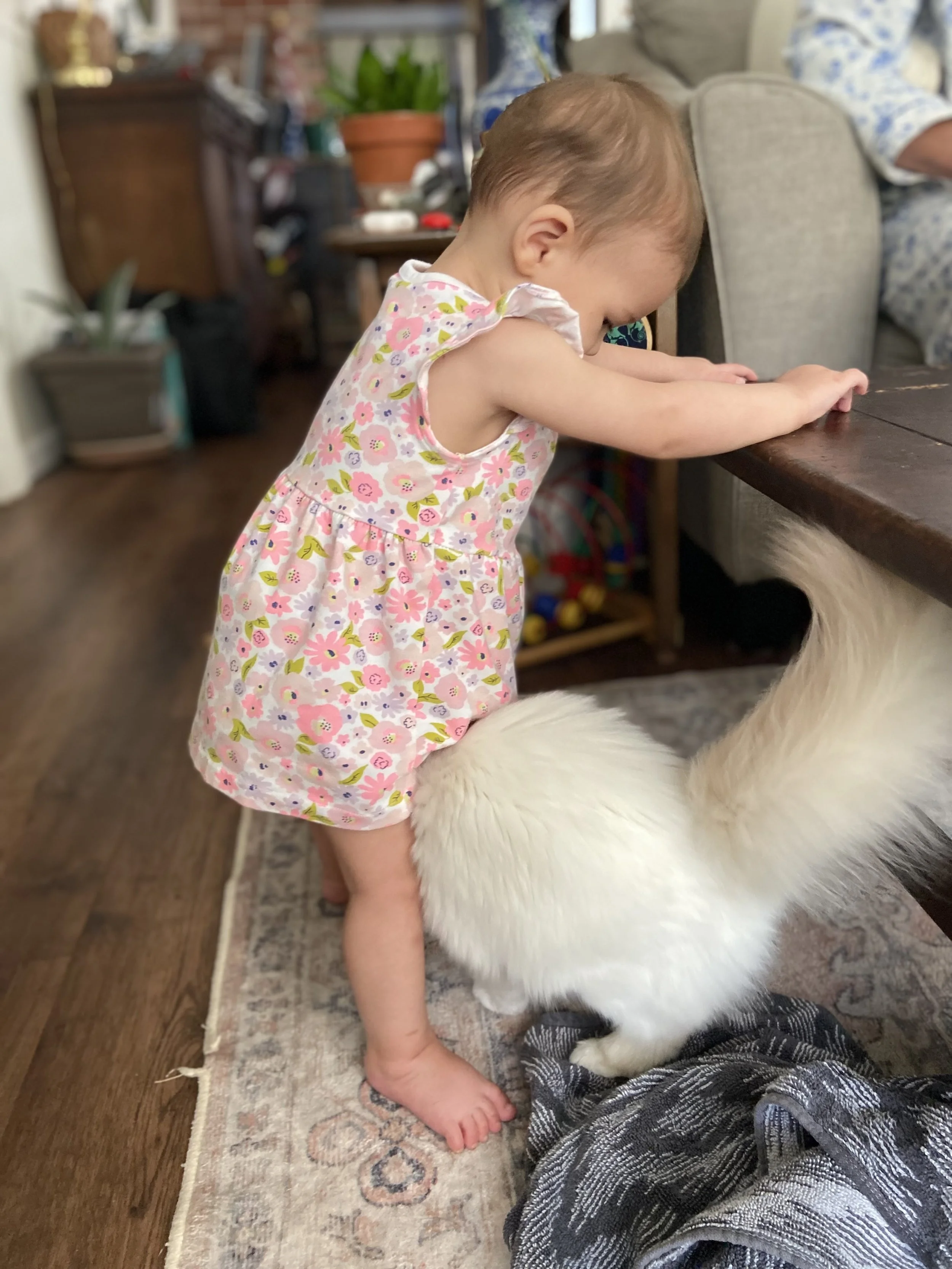 38E25129-B23E-4798-A9C7-1C628083C45E 2.jpeg