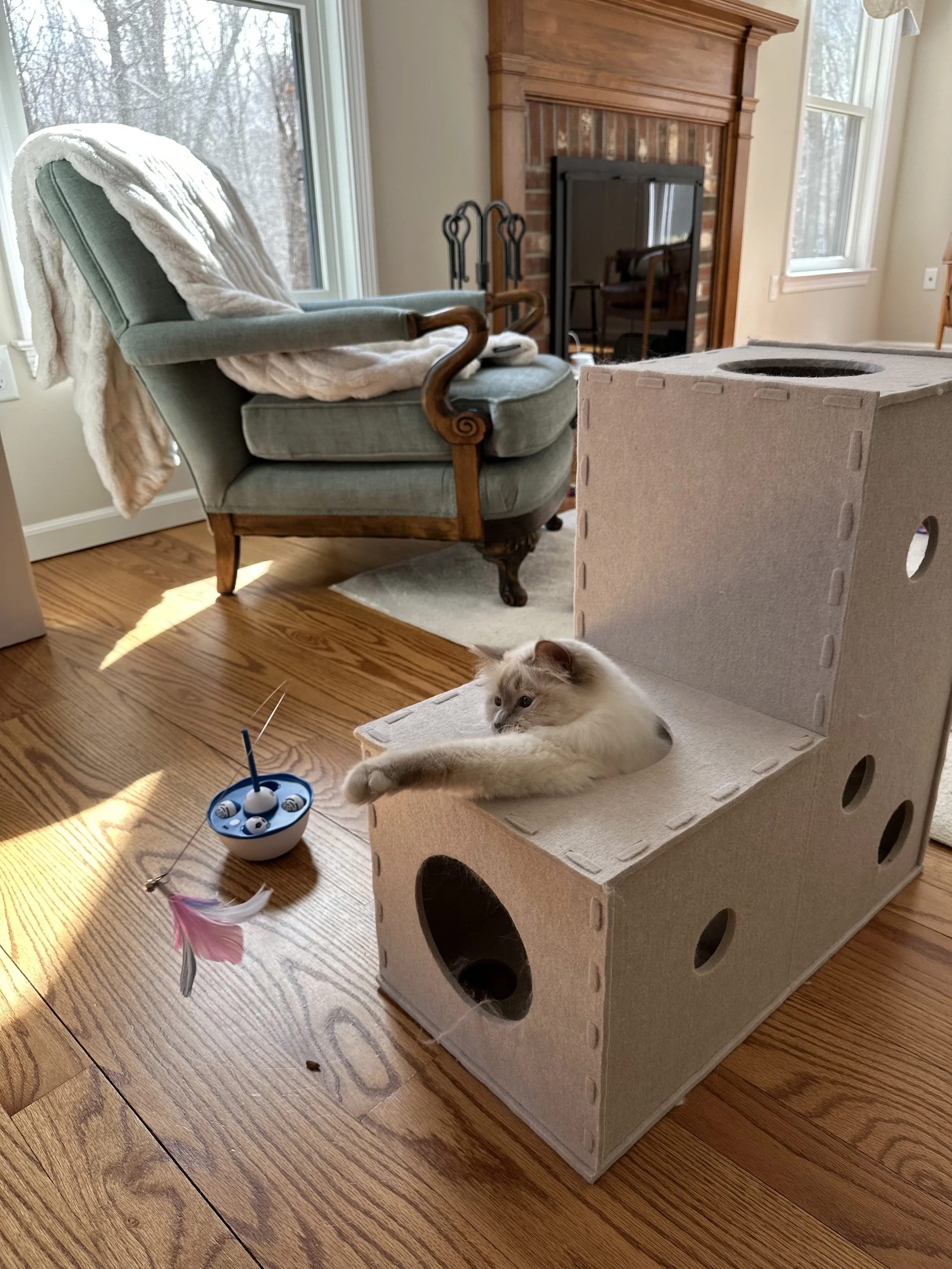 IMG_9873-preview 2.jpeg