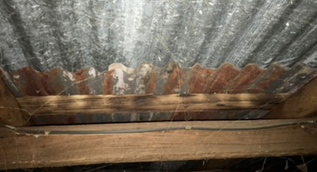 Internal rusting of roof sheets (Copy)