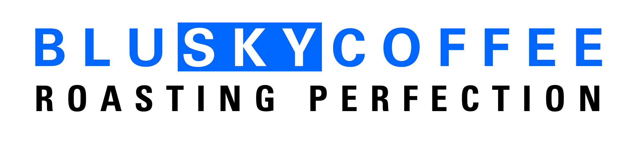 BLU Sky Logo.png