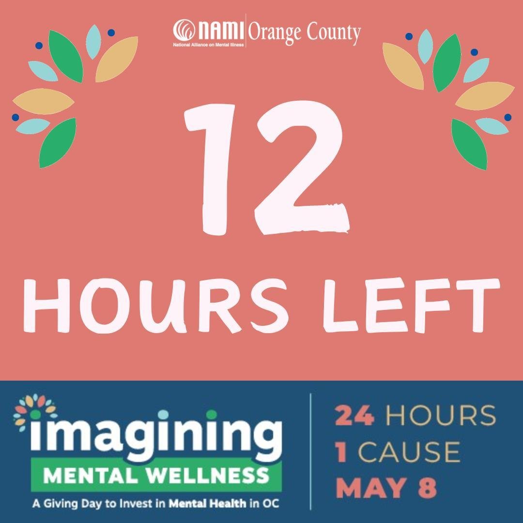 We have officially made it halfway through our fundraising window! With just 12 hours left to donate, please spread the word and help us continue our mission to provide mental health resources to all those in need. We now have 12 hours to meet our $1