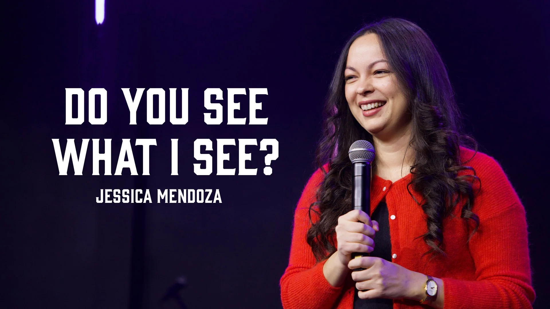 Do You See What I See?
