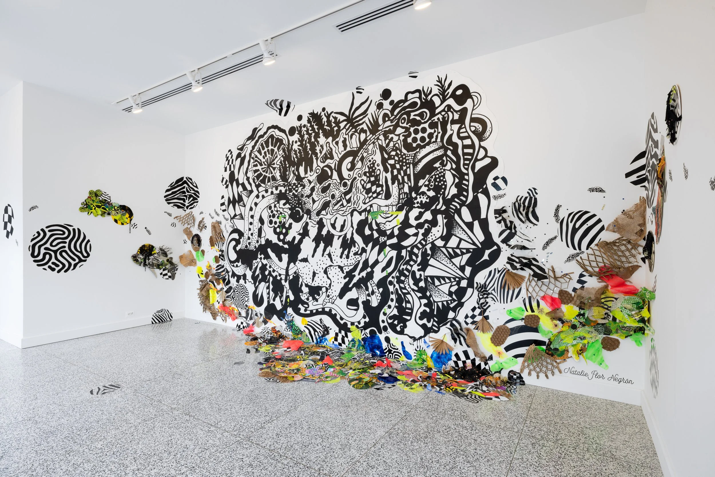   Photo Courtesy of Joseph Hu  