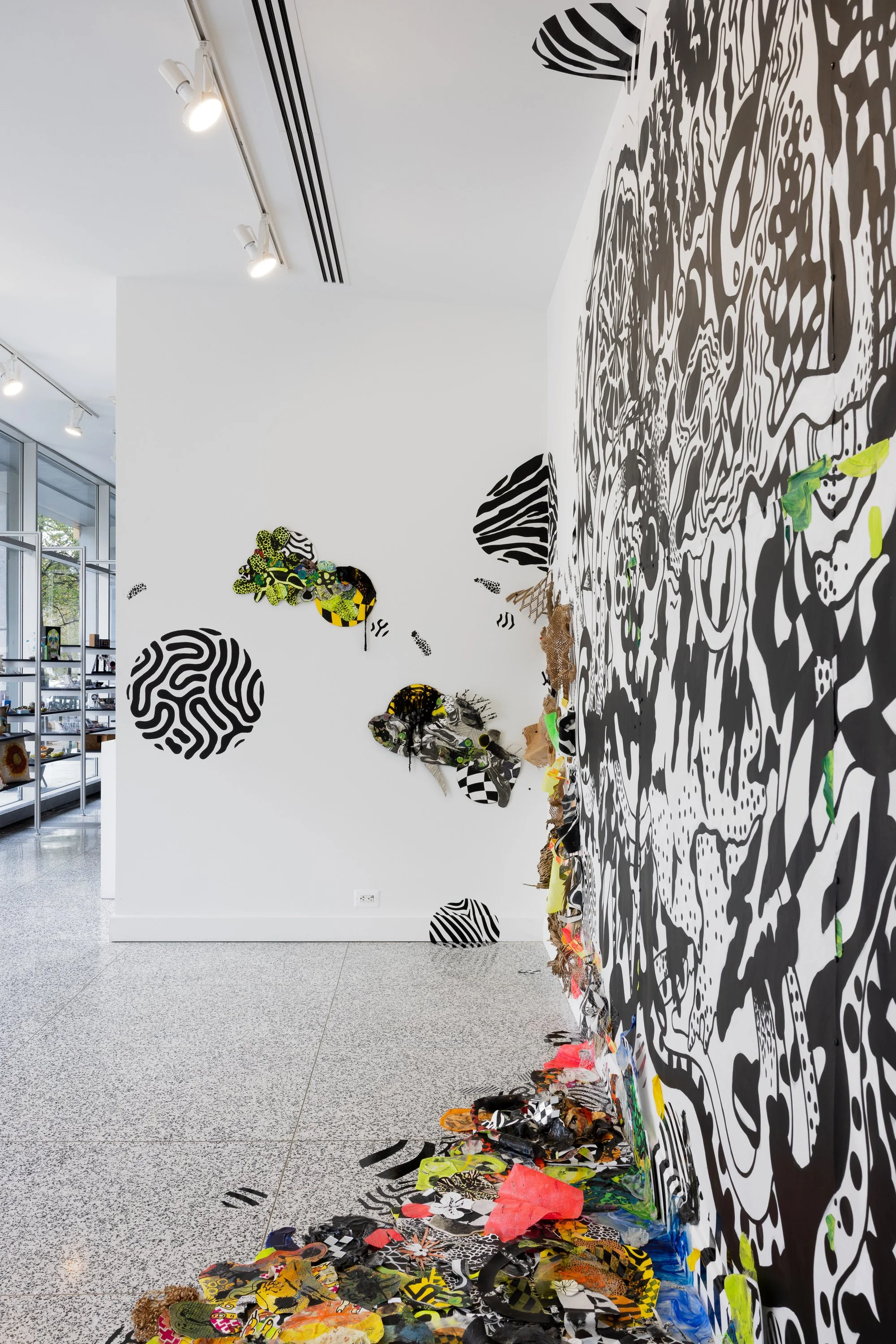   Photo Courtesy of Joseph Hu  