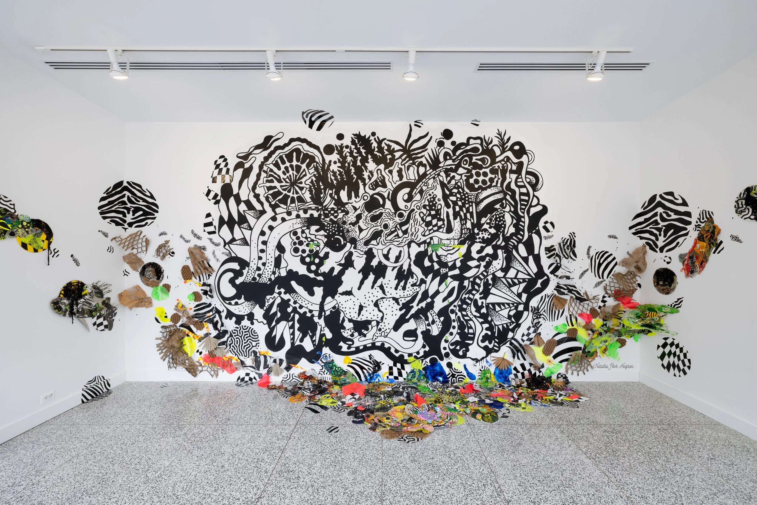   Photo Courtesy of Joseph Hu  