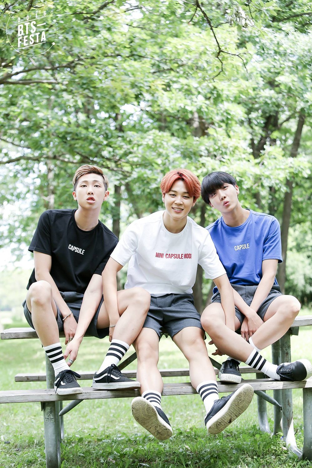 2016-BTS-FESTA-Real-Family-Picture-RM-JM-Hope-1.jpg