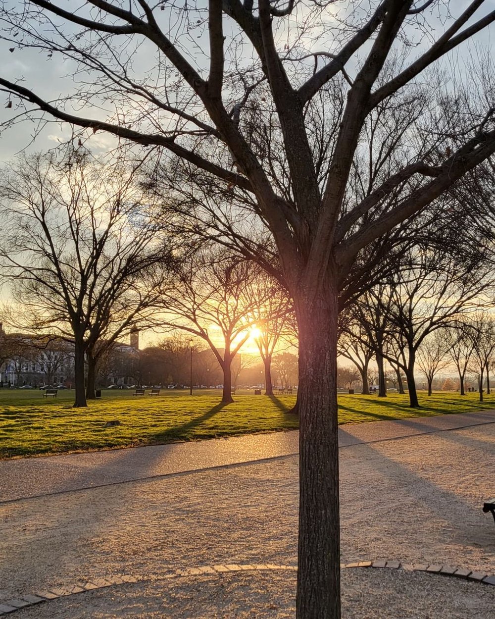 rm-national-mall-and-washington-monument-1.jpeg