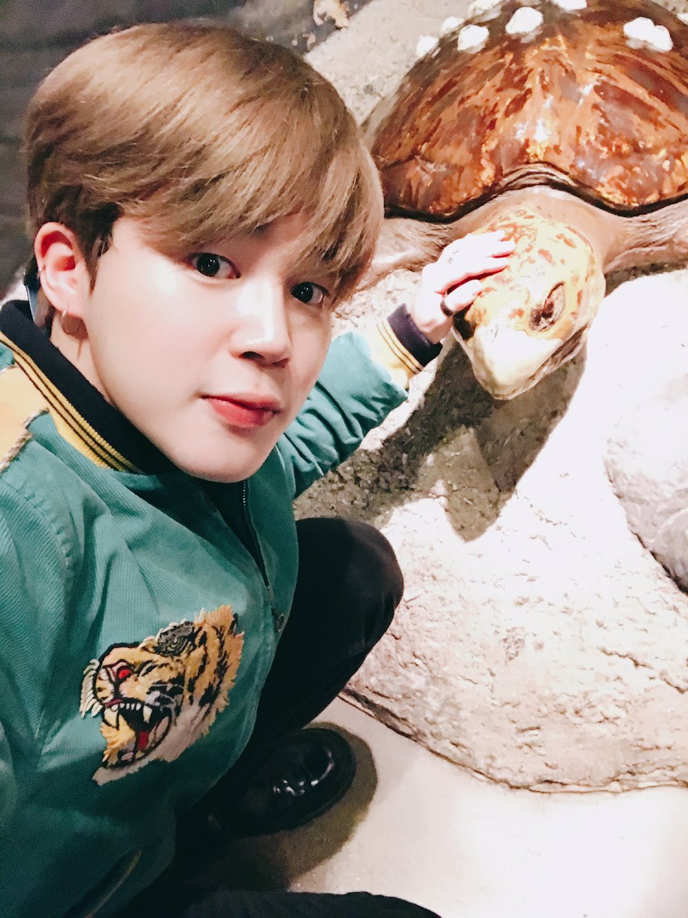 jimin-bts-shedd-aquarium (7).jpg