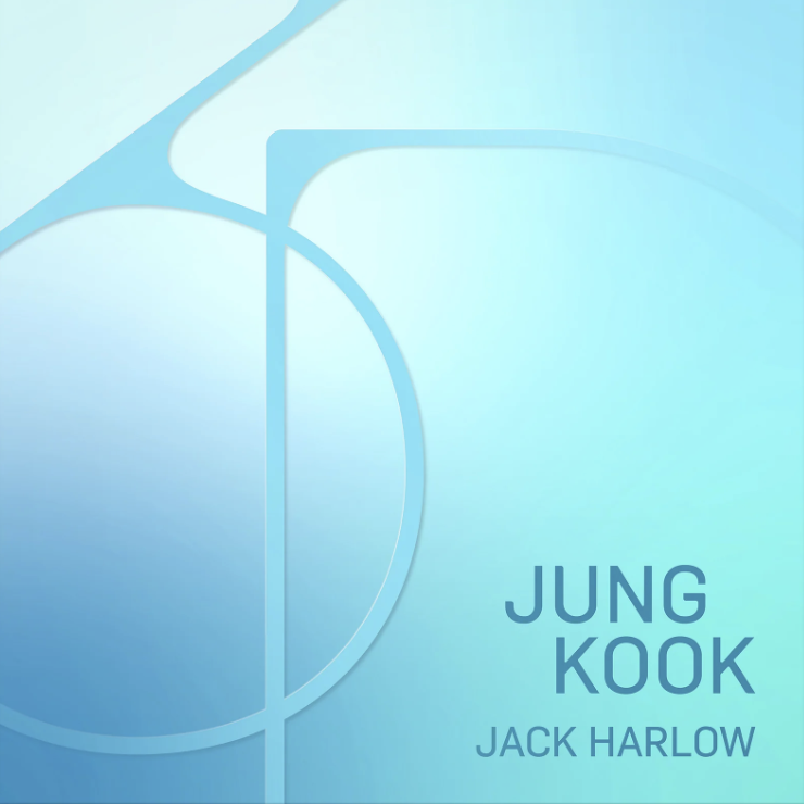Jungkook 3D Song Jacket  Jungkook 3D Song Black Jacket