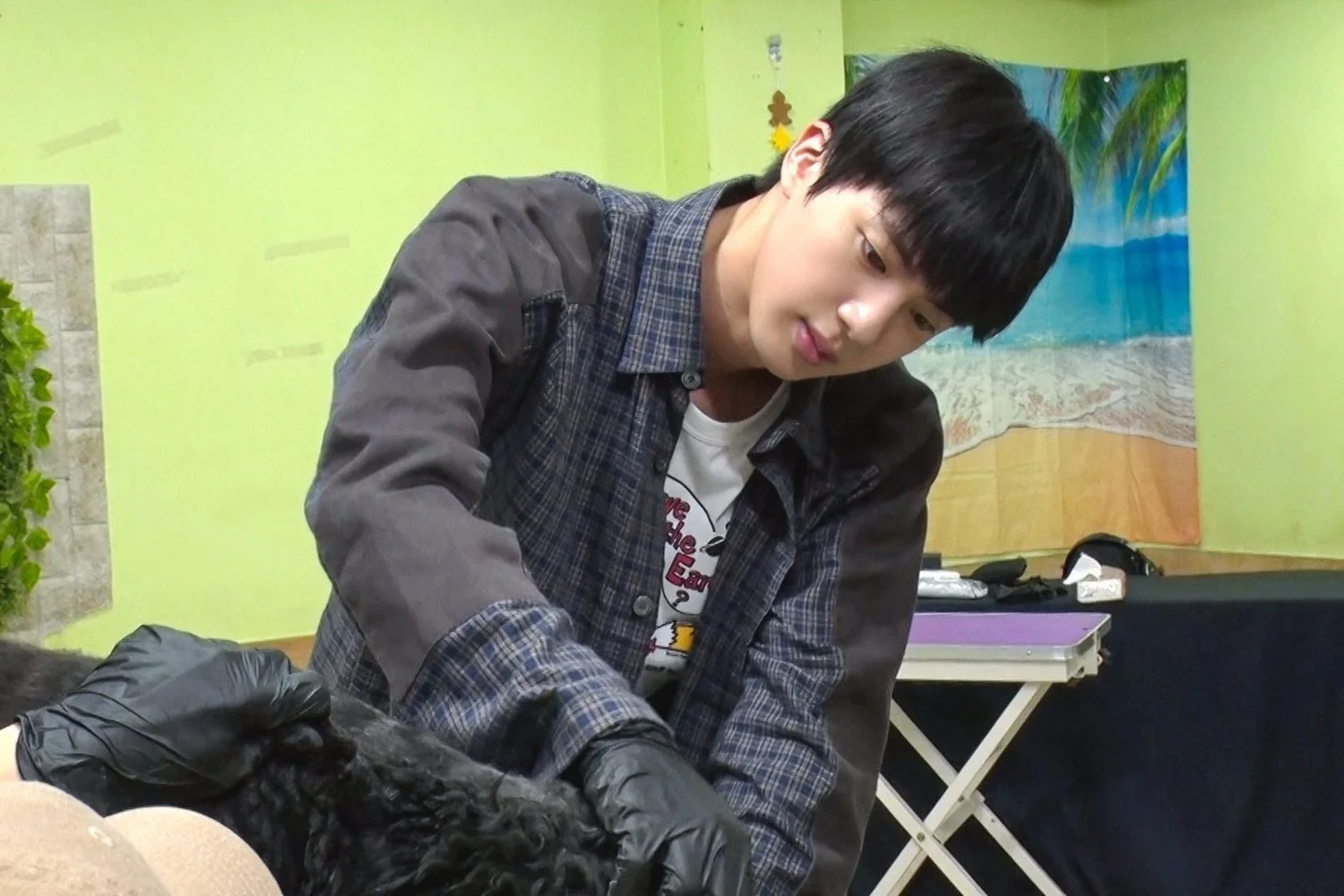 Jin to Appear on “I Love Everyone’s Zoo”