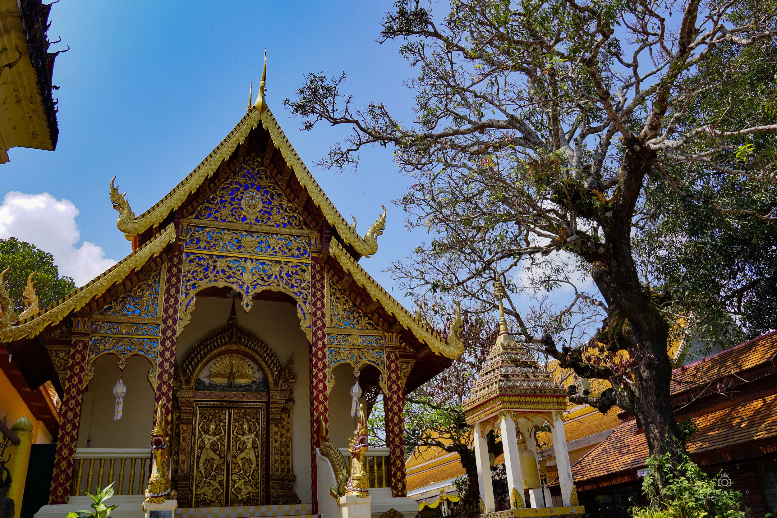 Thailand&Cambodia-14.jpg
