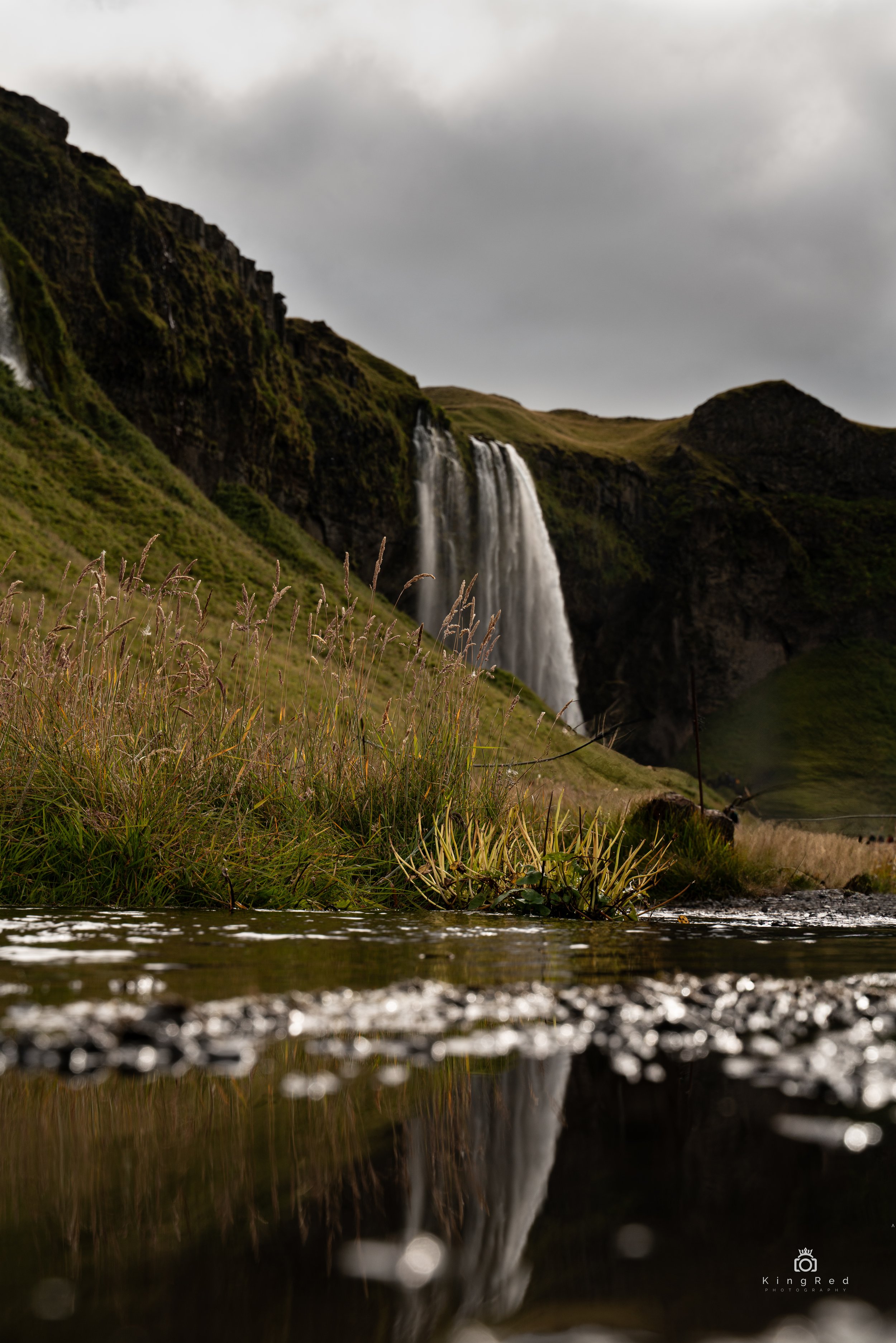 Iceland (11 of 23).jpg