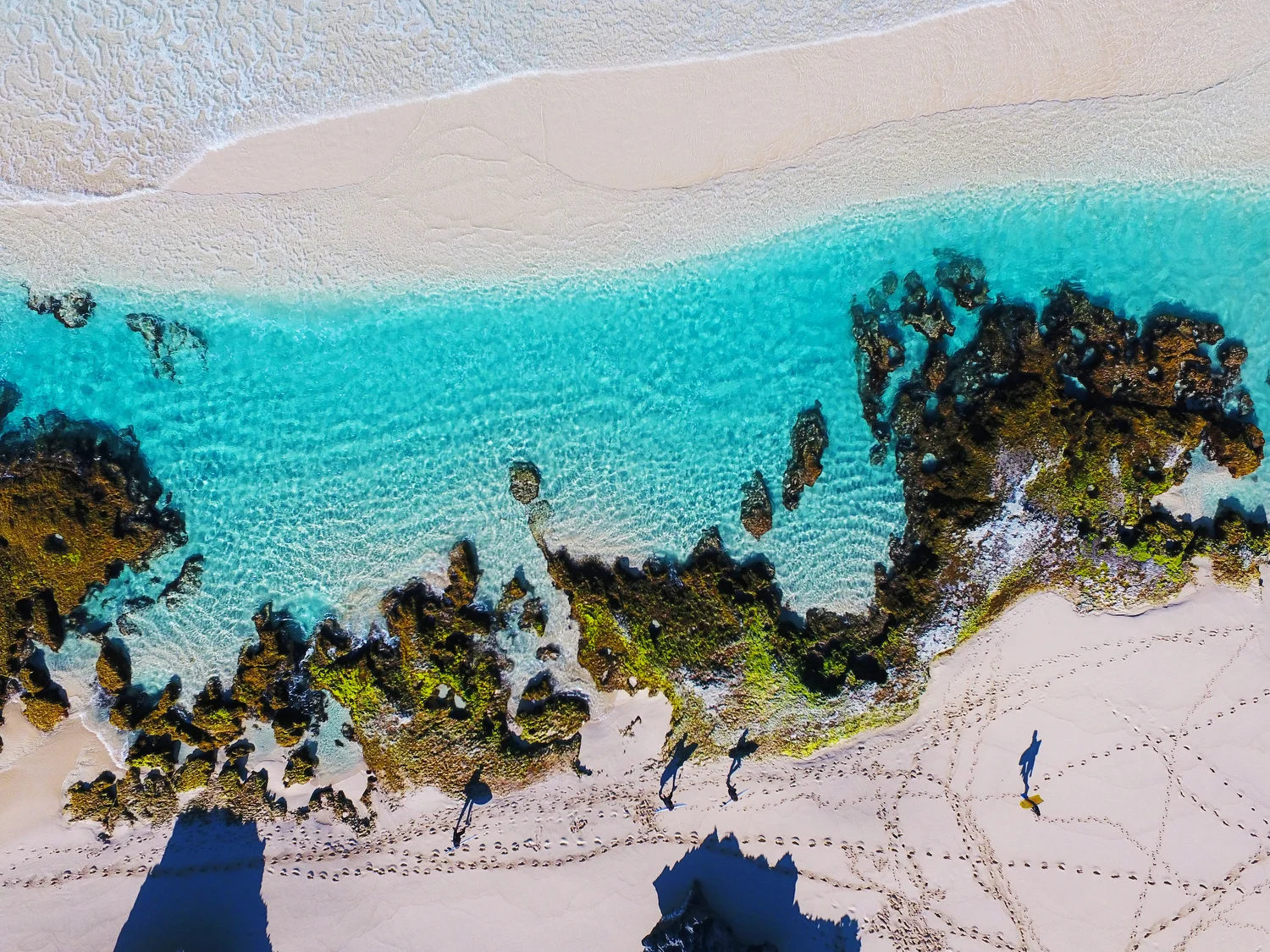 DJI_0530.JPG