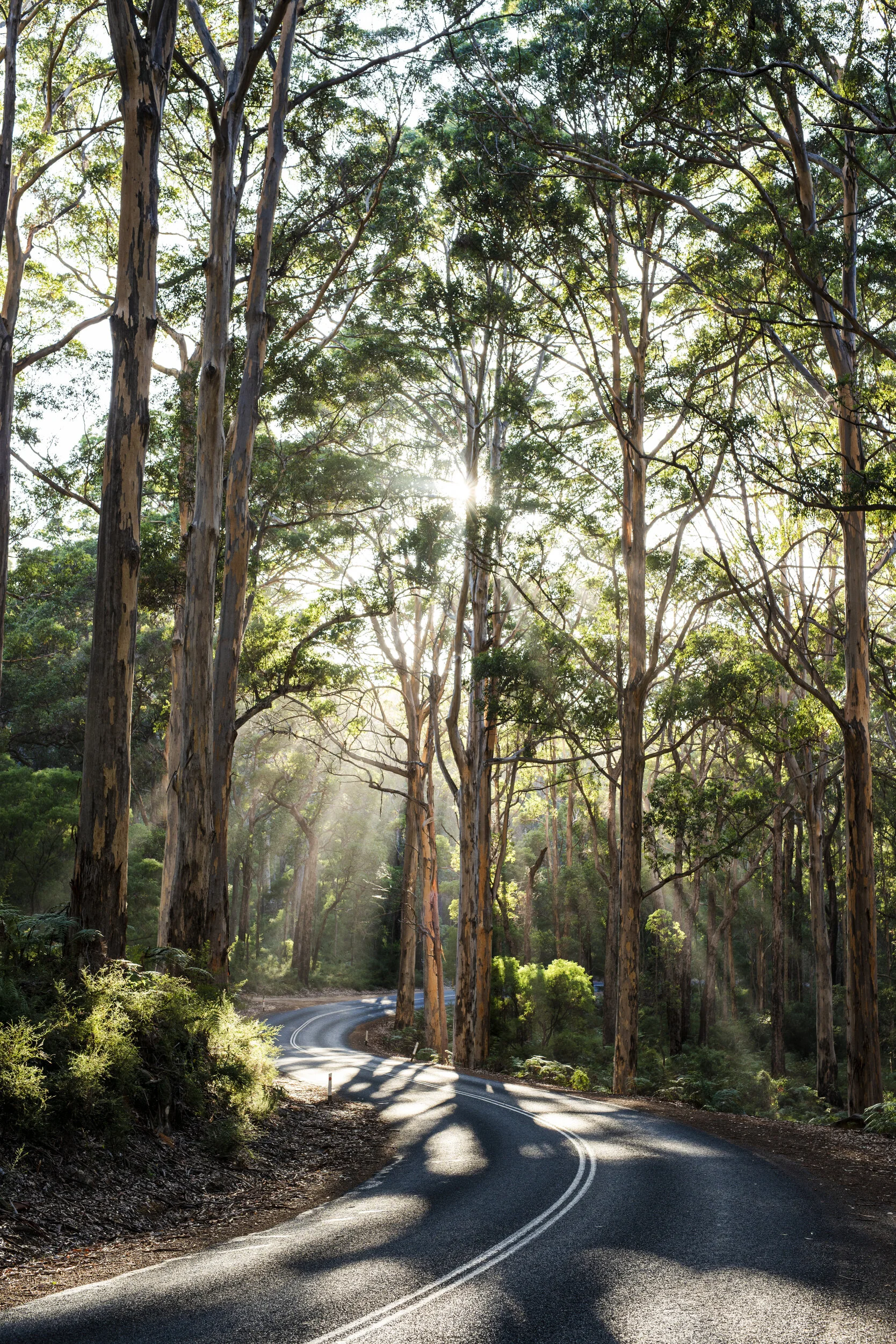 Scott Bauer Photo1110.JPG