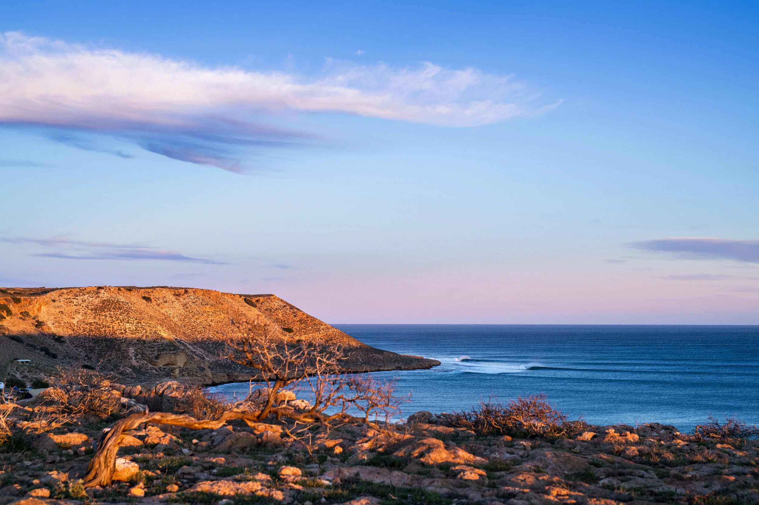 _DSC9602.JPG