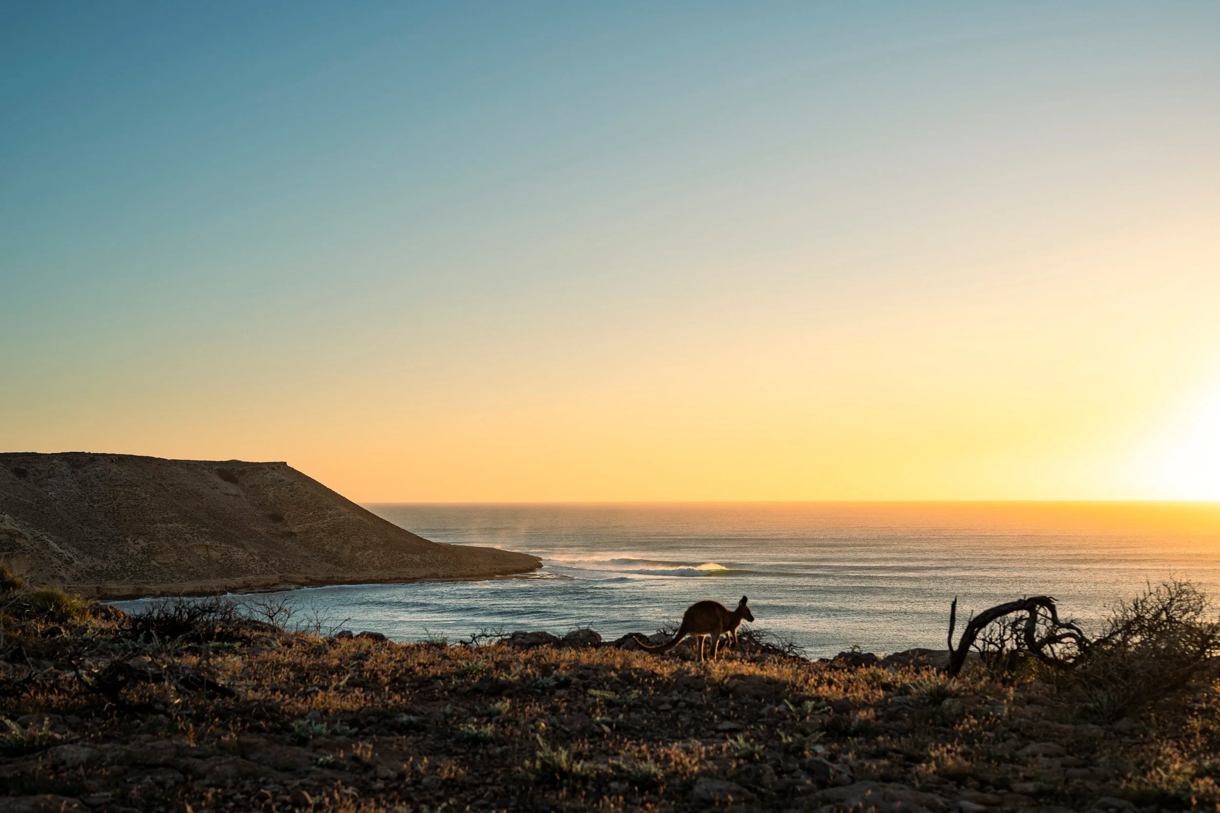 Red Bluff_Lineup.JPG