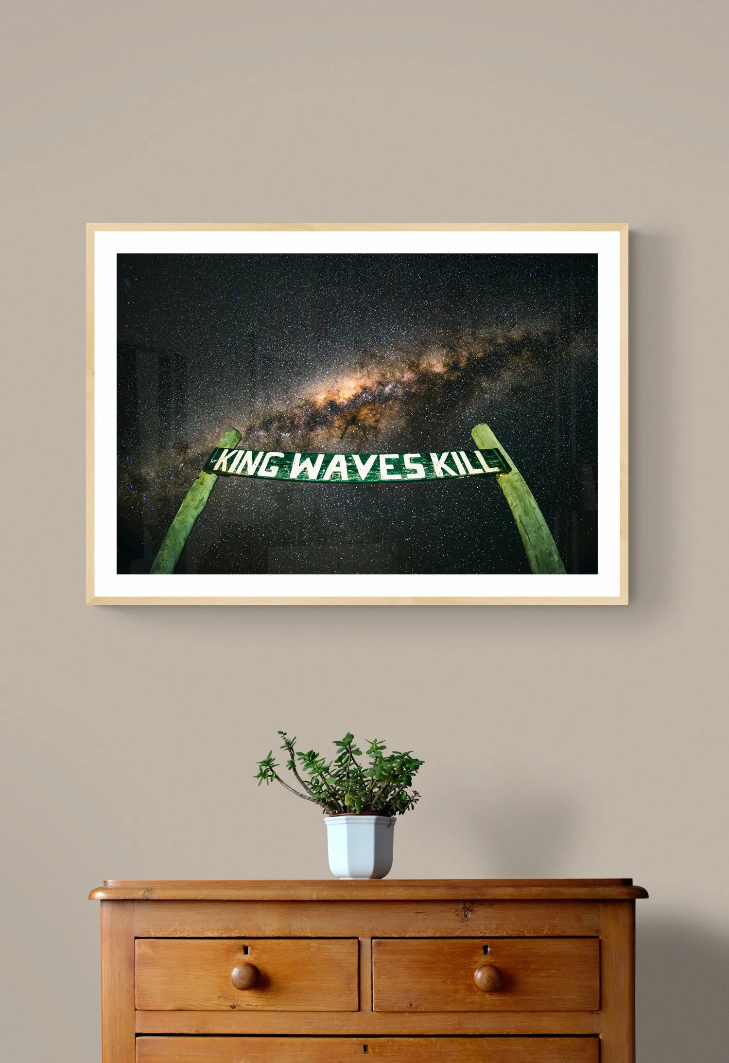 plant-on-wooden-drawers.jpg