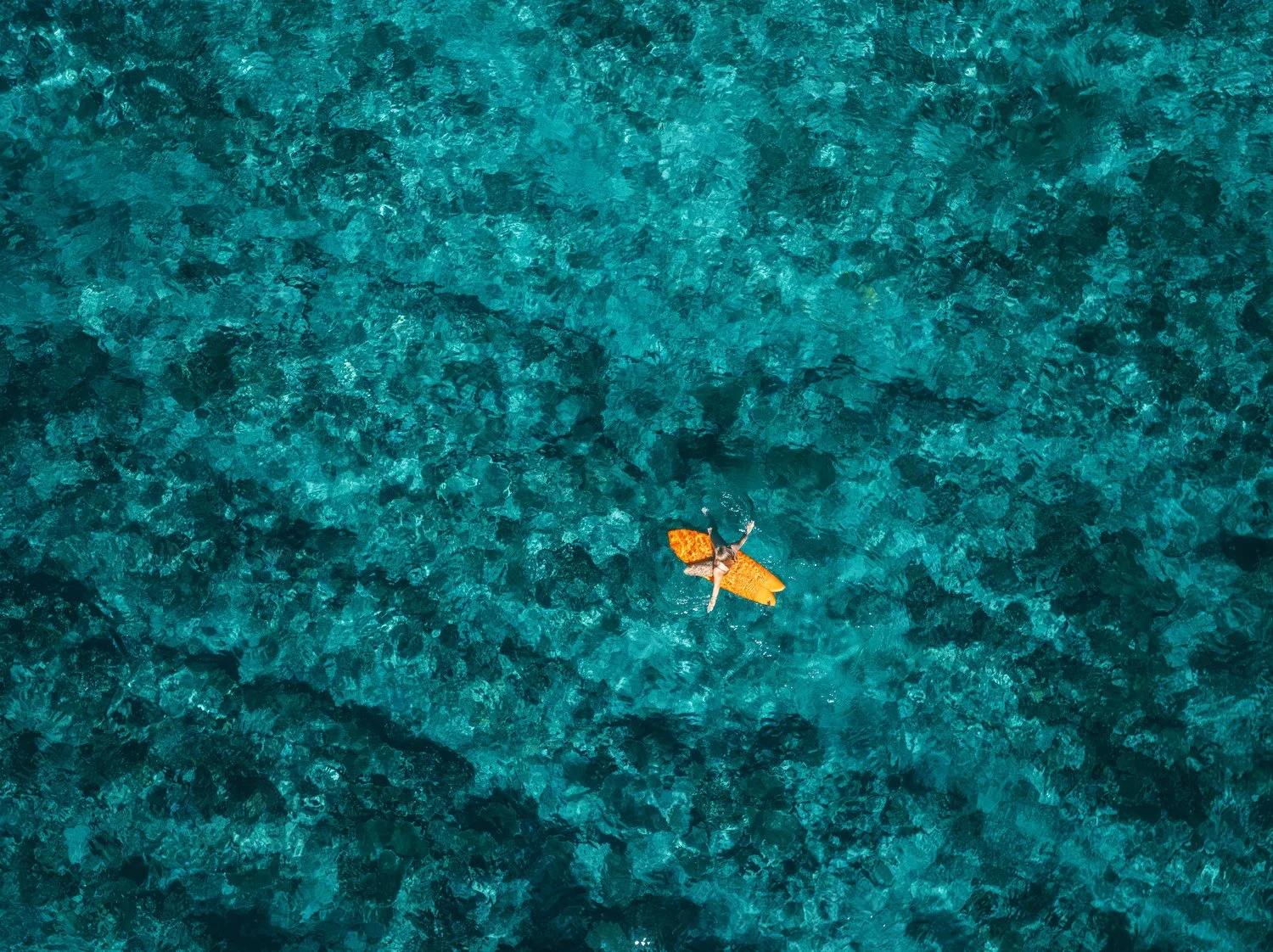 Allana_Swimming Pools.JPG