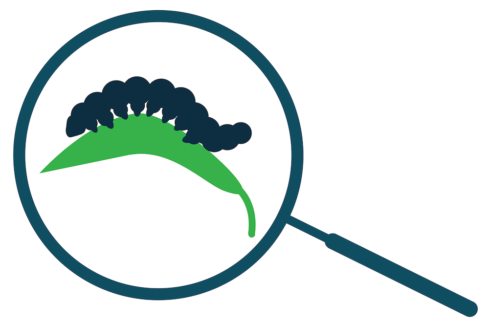 Farmers can use CRISPR diagnostics to identify agricultural pests. Knowing the identity of such pests enables farmers to get rid of them more quickly and save their crops.