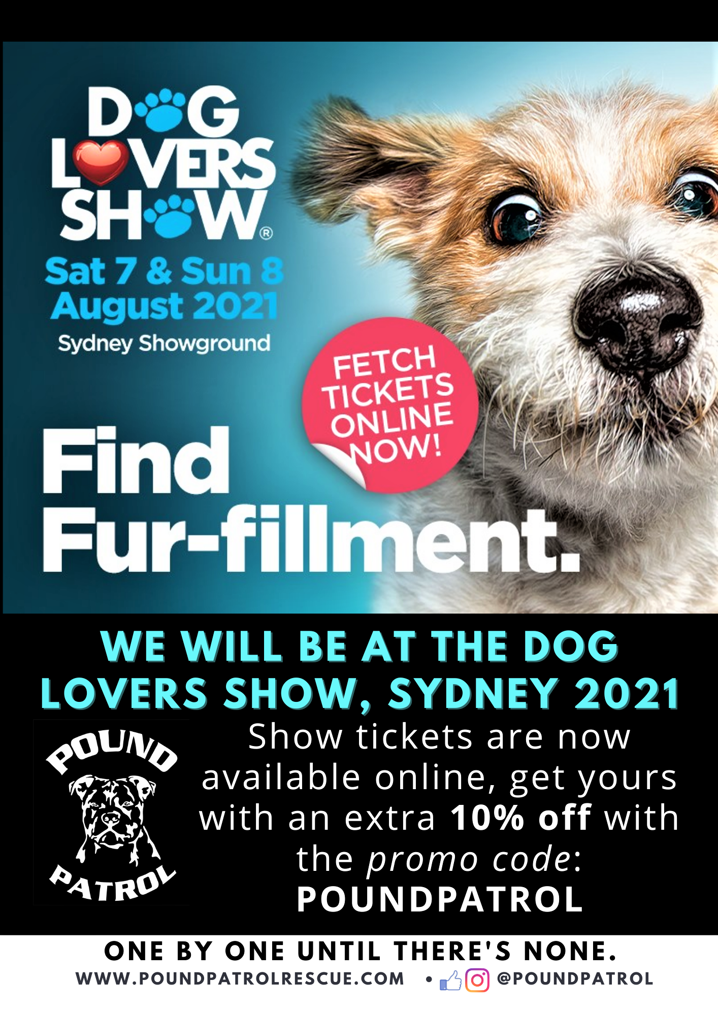 Pound Patrol at the Dog Lovers Show, Sydney 2021