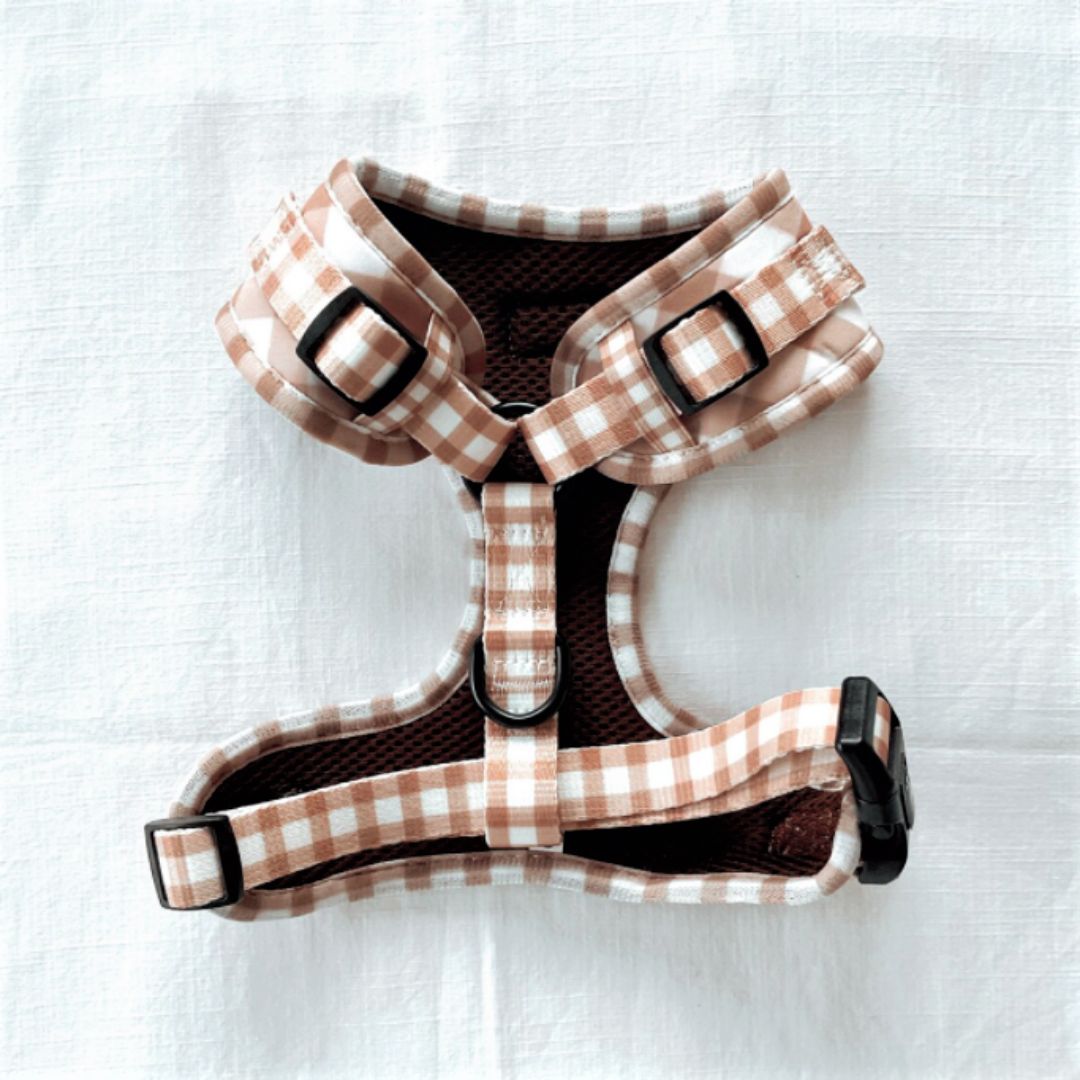 Silly Sausage & Co Gingham Dog Harness — Pound Patrol Rescue