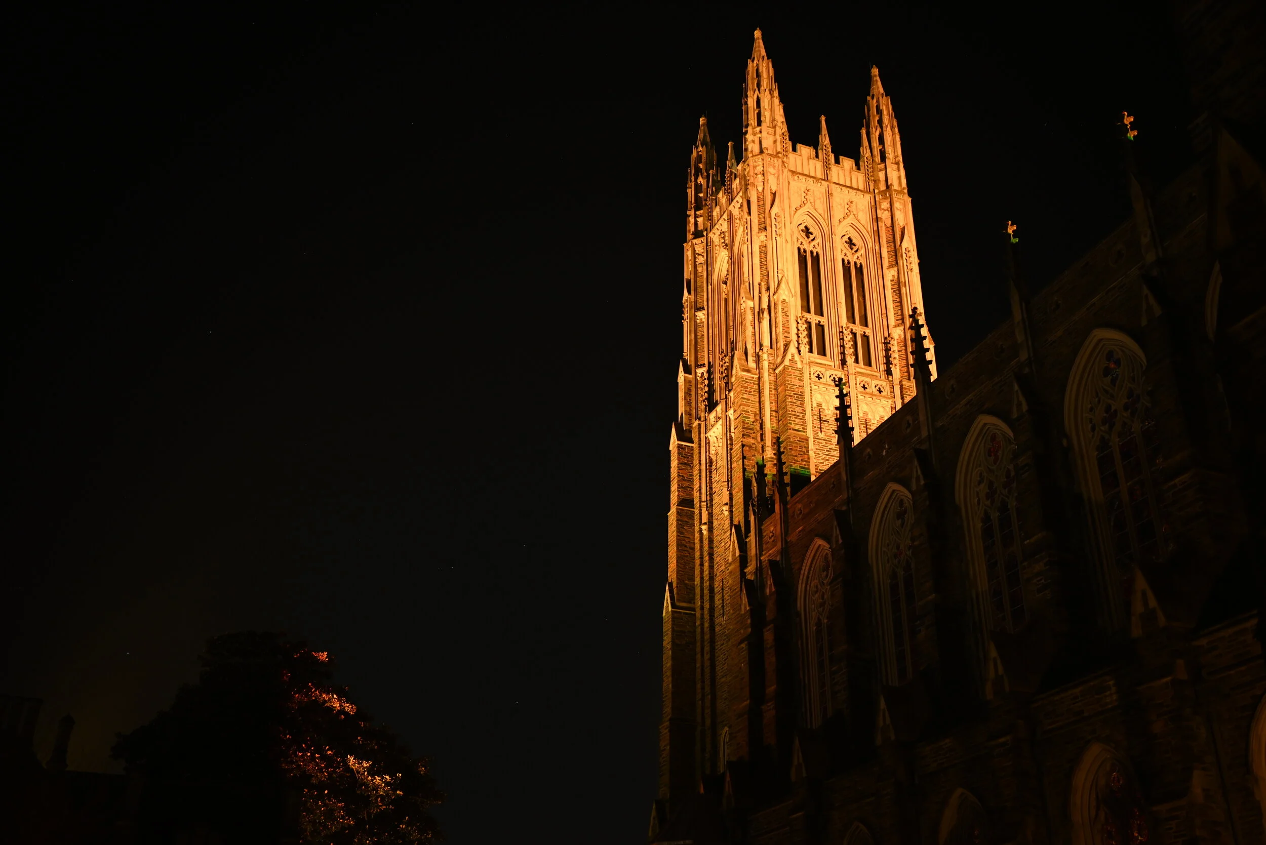 College in the Pandemic