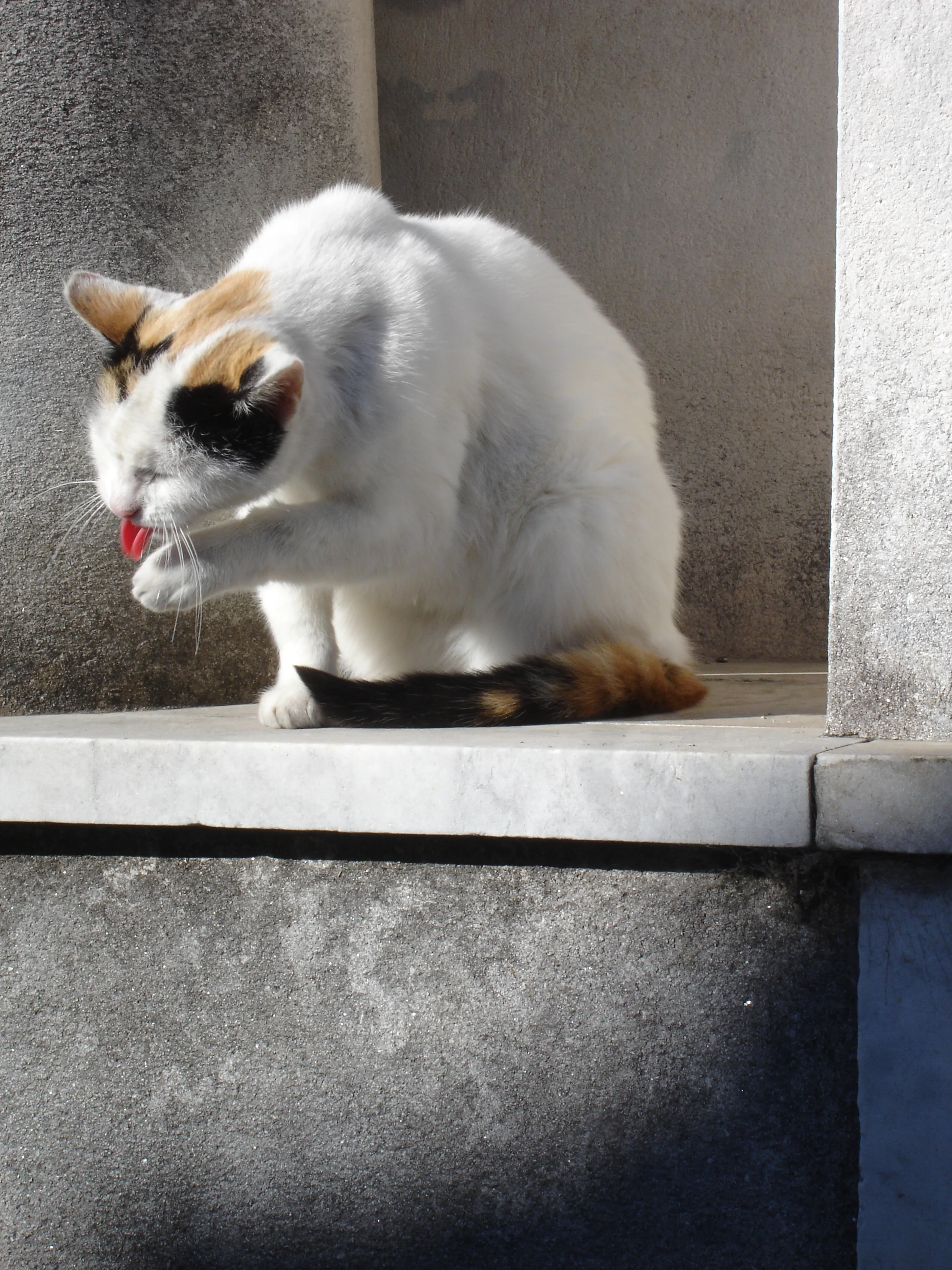 DSC01936.JPG