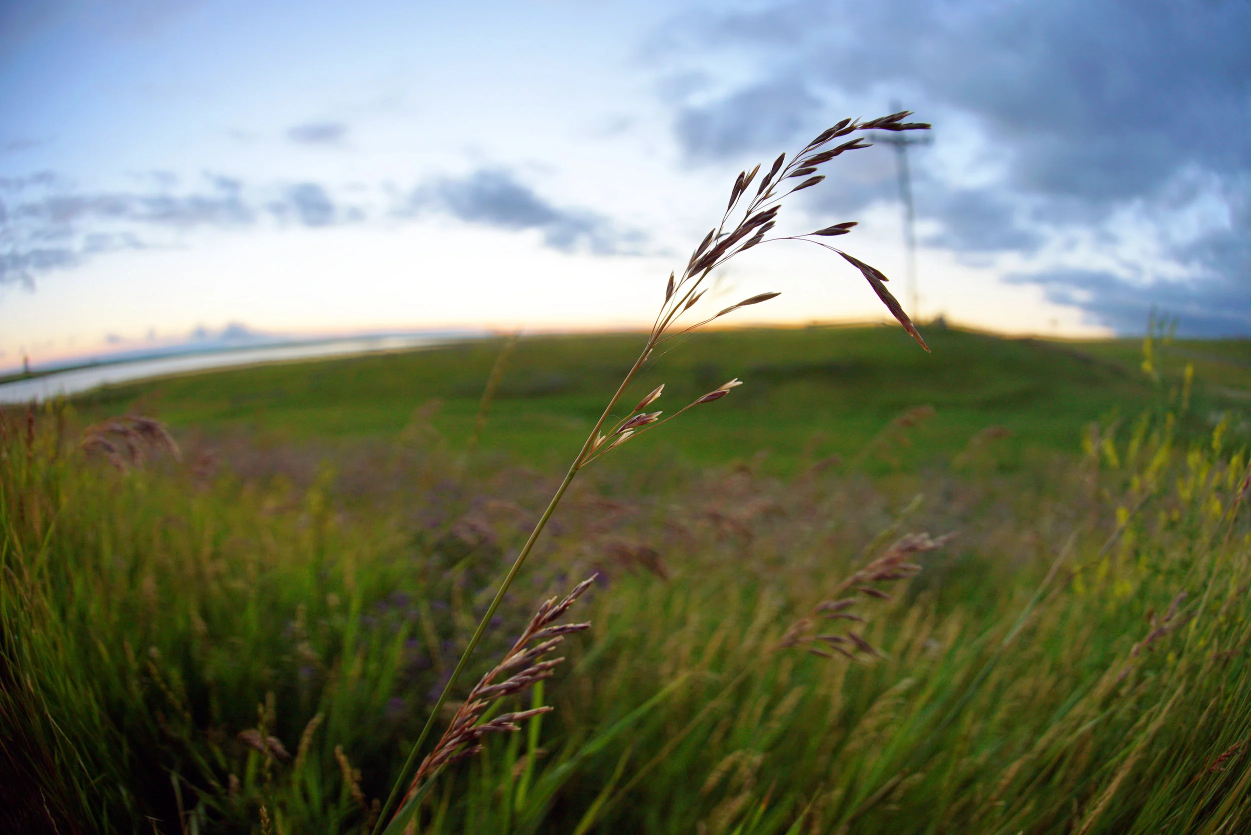 07-20-north_dakota_prairie_sunrise.JPG