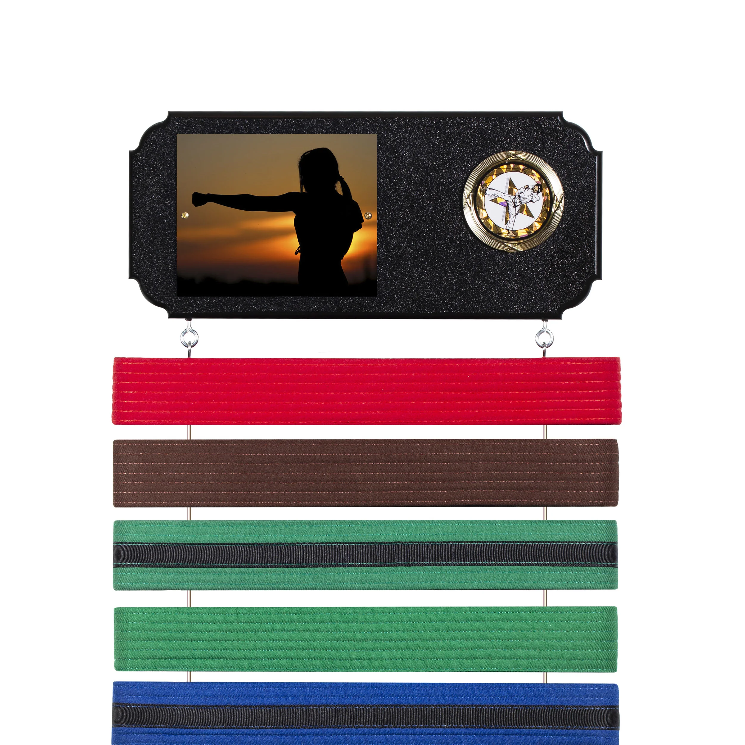 Standard Belt Display (Enlarged)