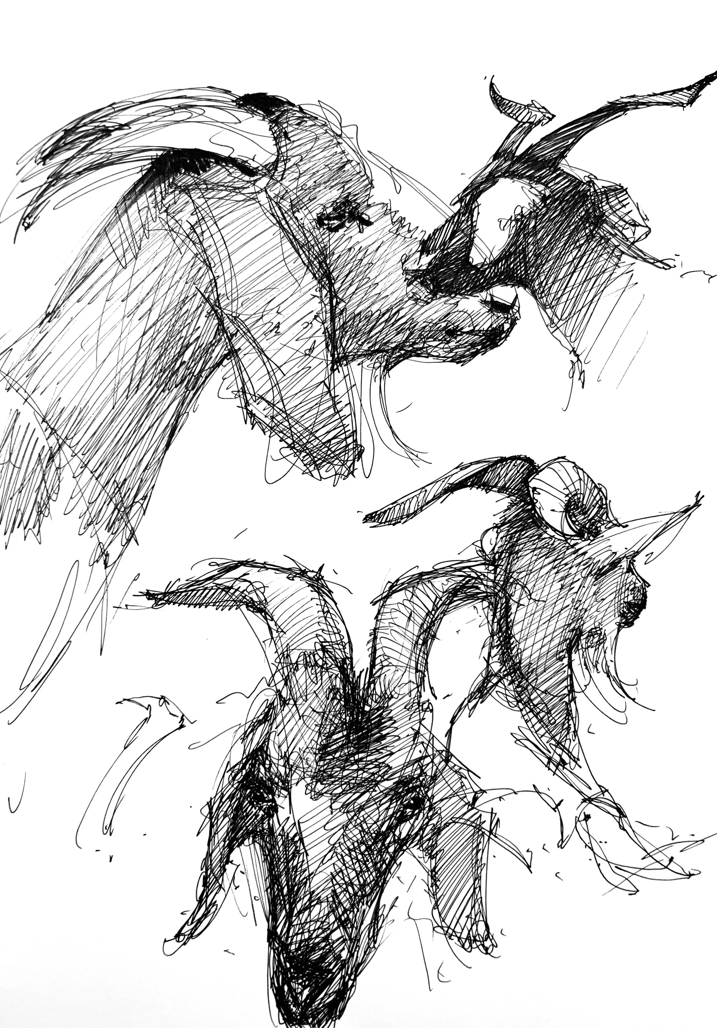 Plein Air, Austin Goats, 8.12.24