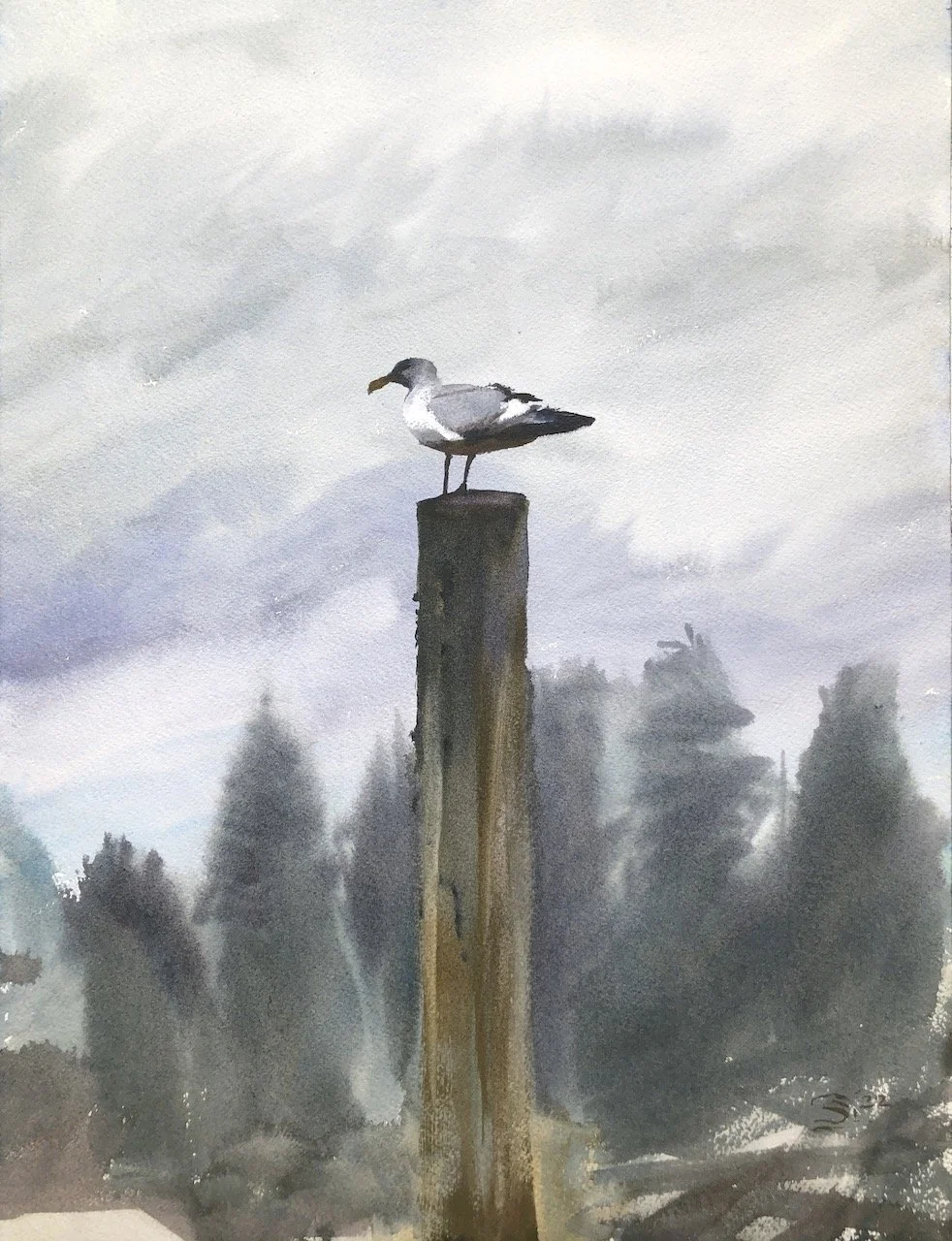Plein Air, Mr. Seagull, 1.20.22, Thurs, ~11am