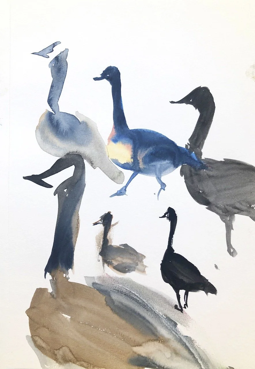 Plein Air, Geese @Greenlake, 10.17.22, Monday, 4-4:30pm