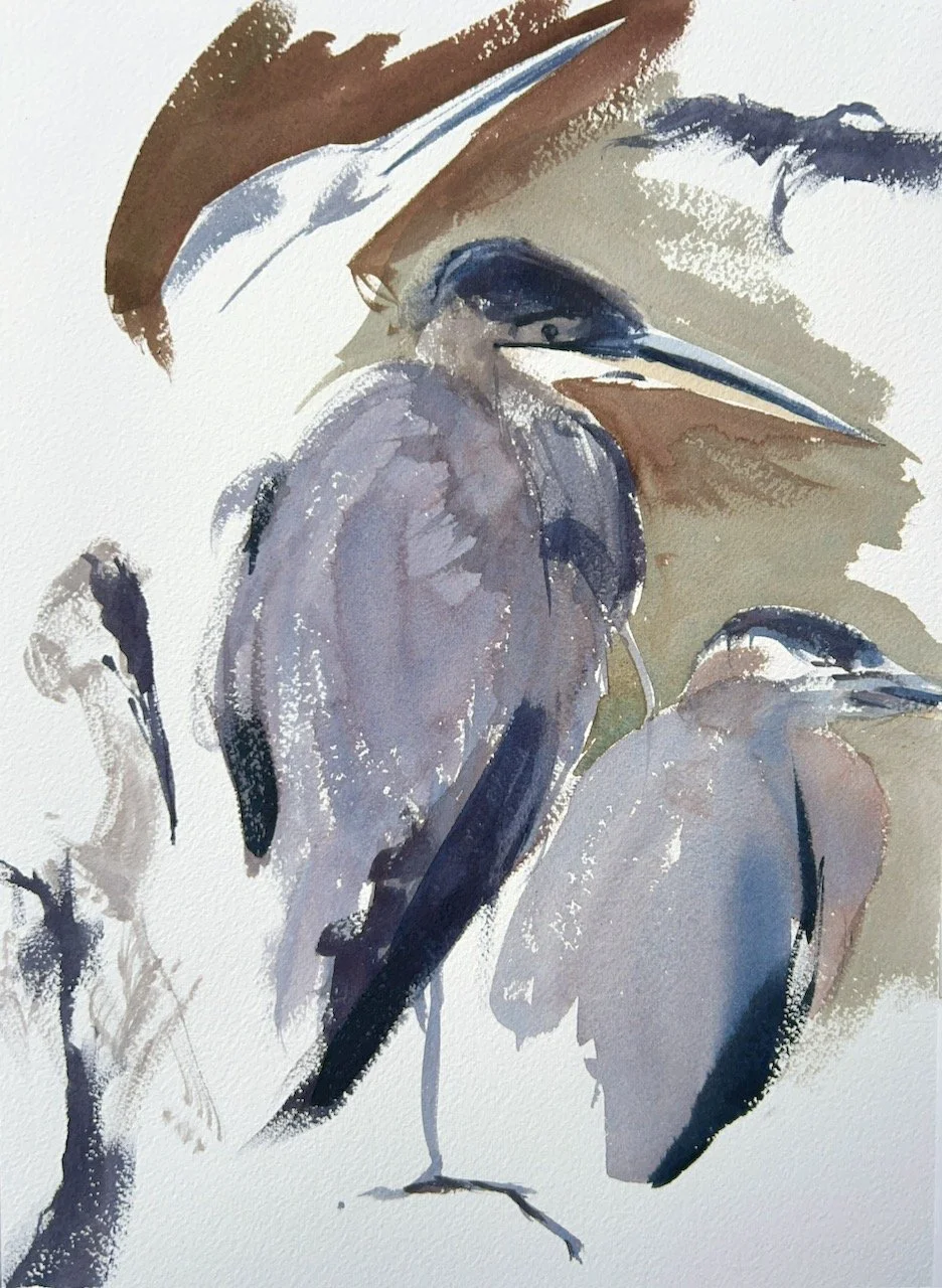 Plein Air, Heron Studies, 11:30am-noon, 9.28.23, West end of Locks