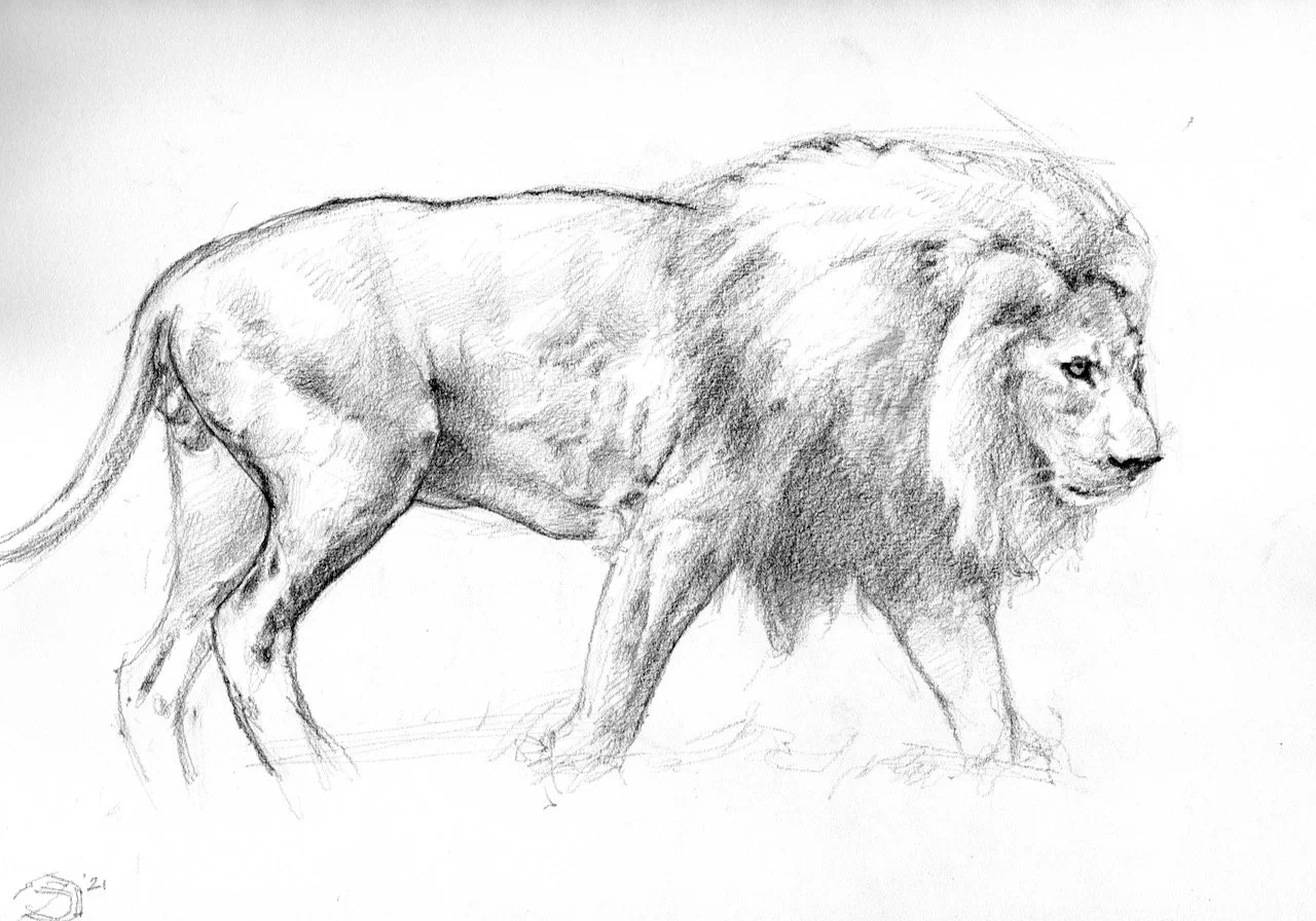 Lion