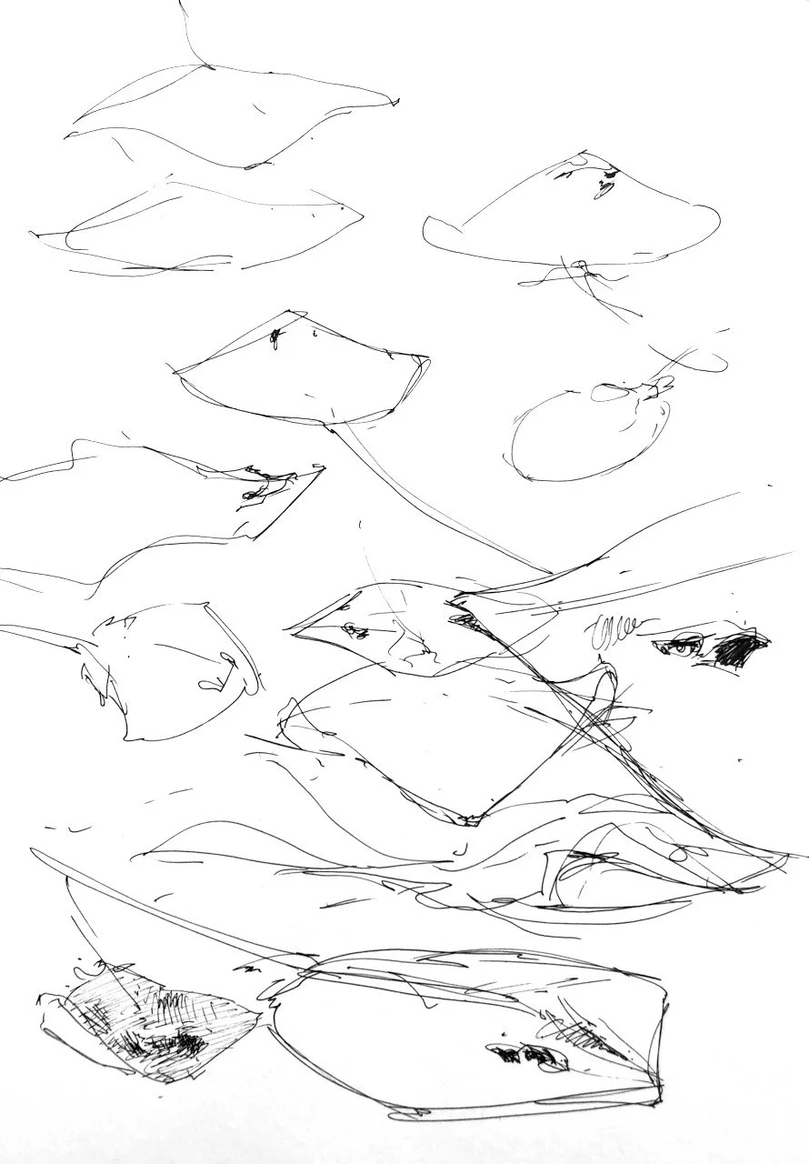 Rays