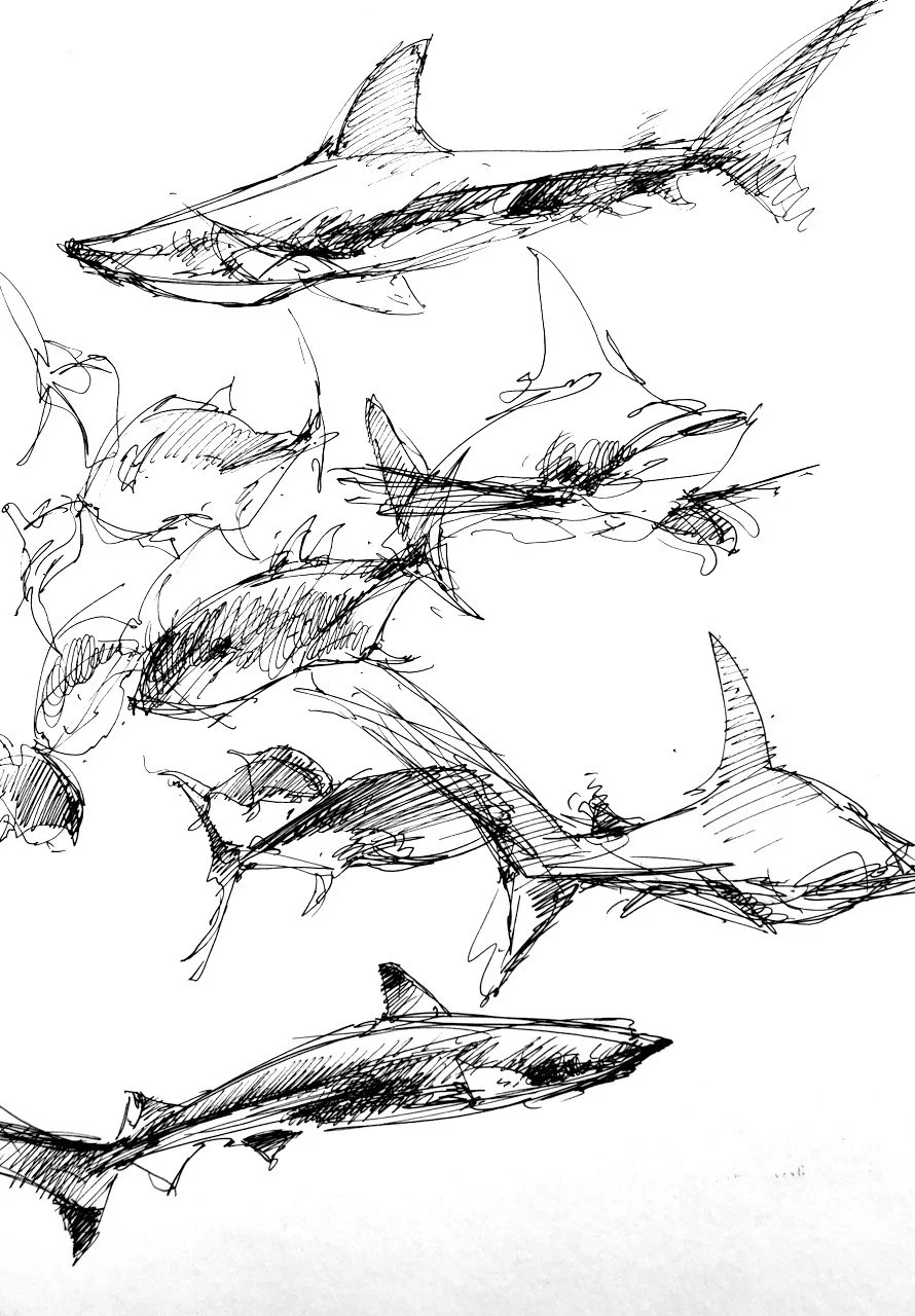 Sharks and Jacks