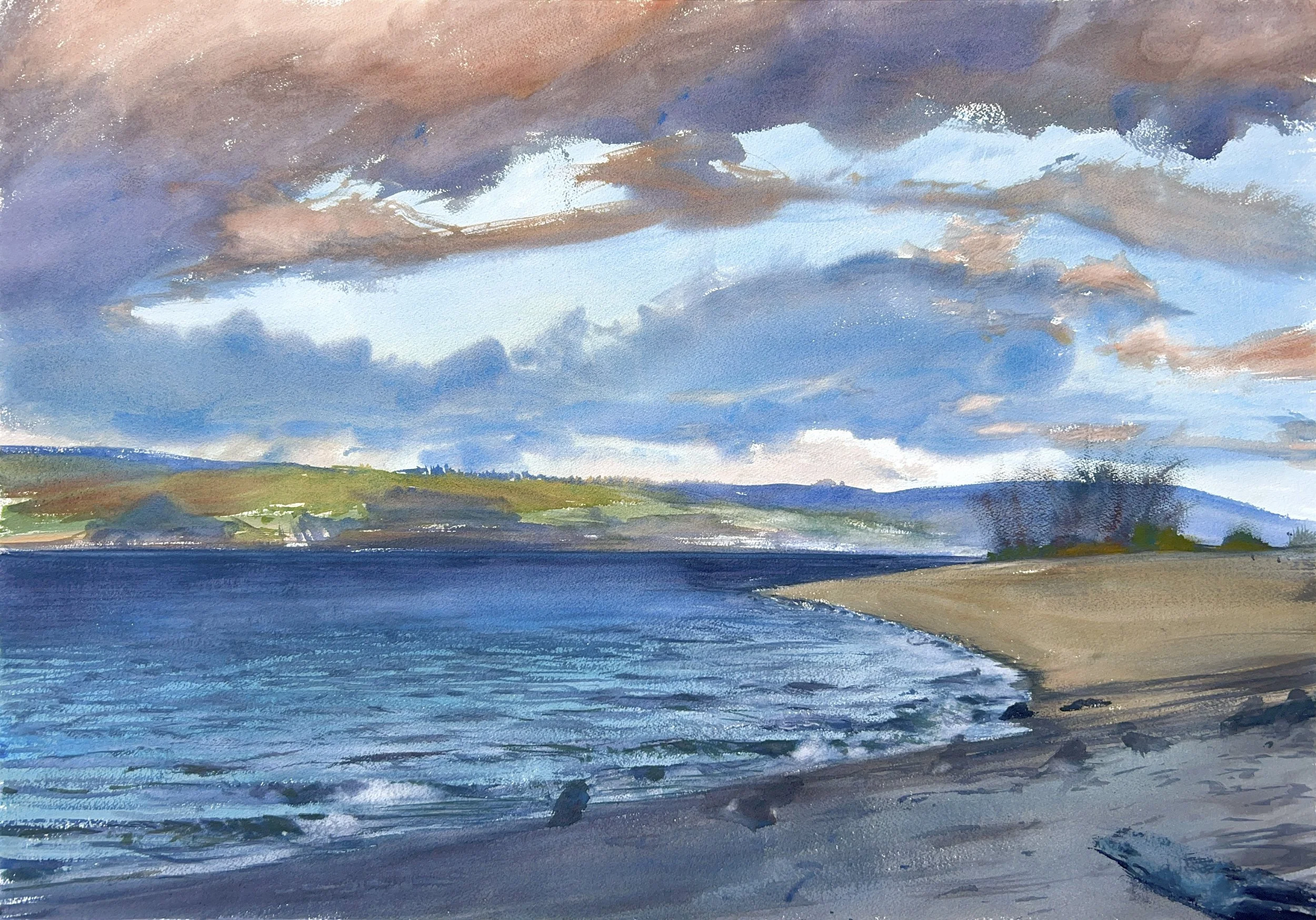 Plein Air, 8:45-9:45am, Golden Gardens Shoreline, Some Gulls on the Beach, 11.22.23