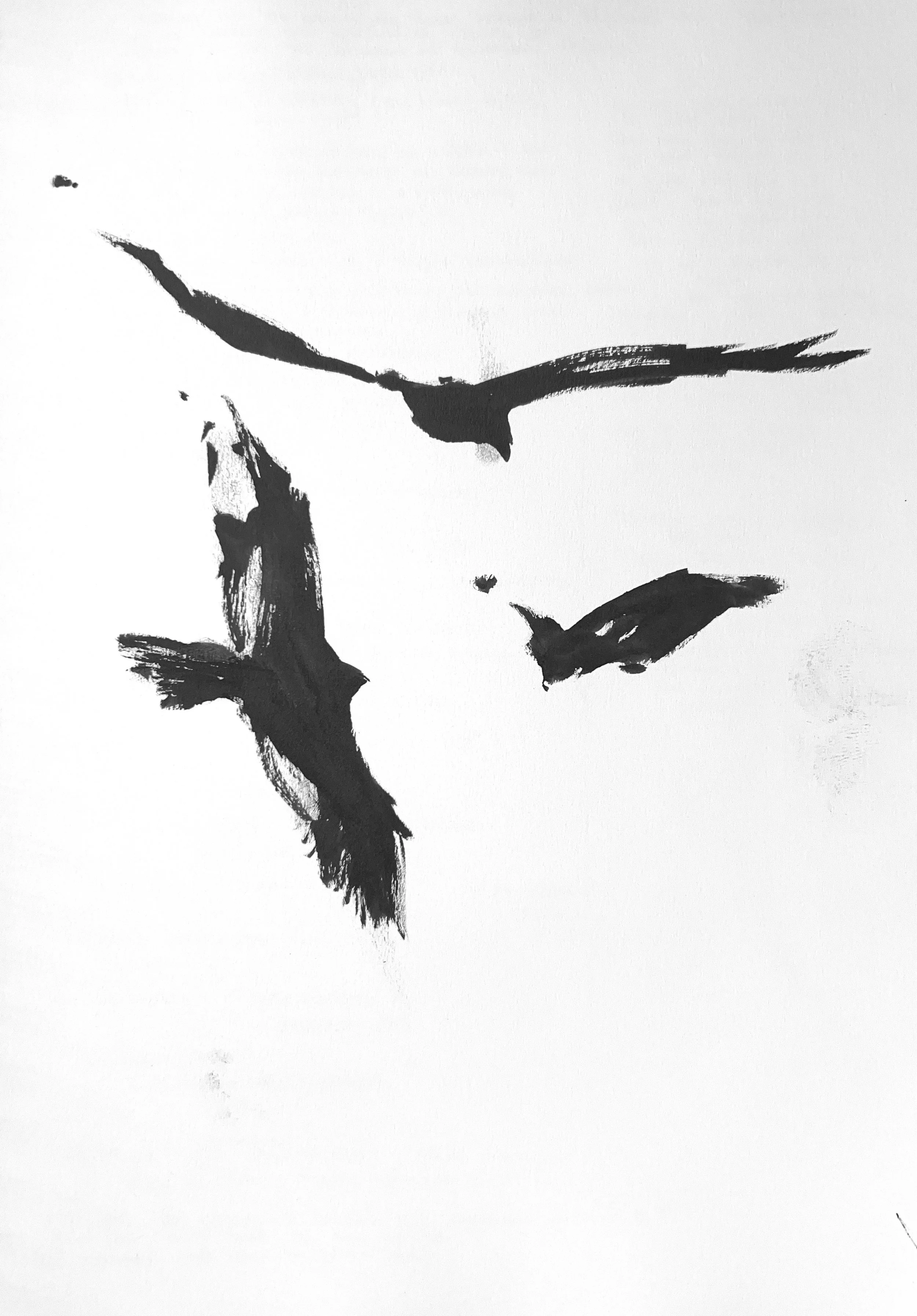 Plein Air, Turkey Vultures at Walnut Canyon 2 of 3, 5.10.24